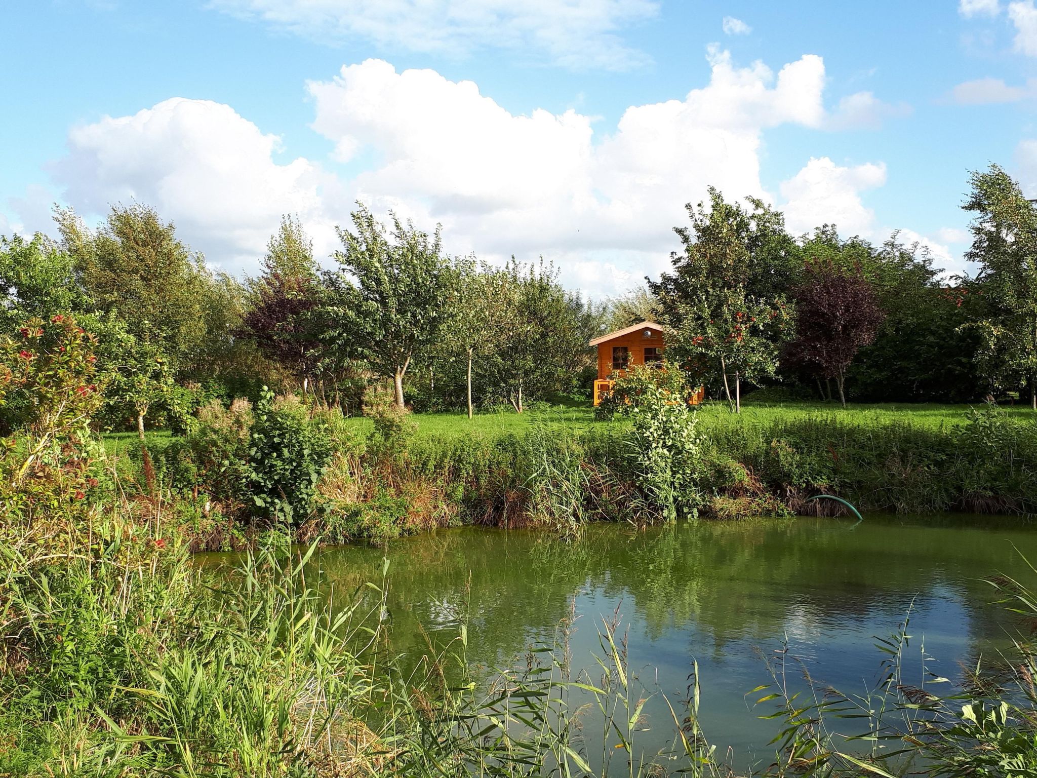 Sonnige Ferienwohnung in ländlicher Umgebung-Binnen