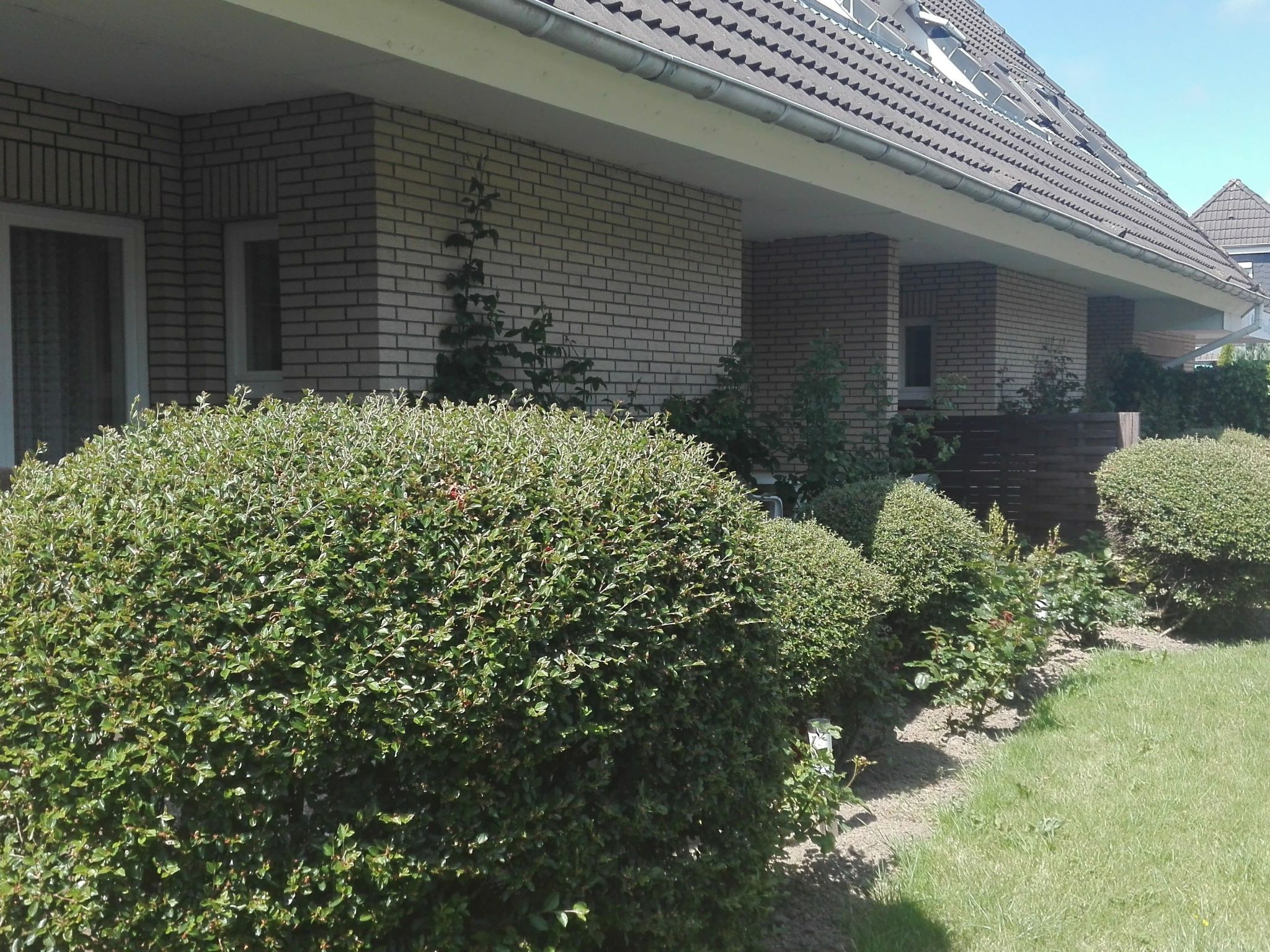 Haus Meeresbrise Wohn. Nr. 3 mit Balkon