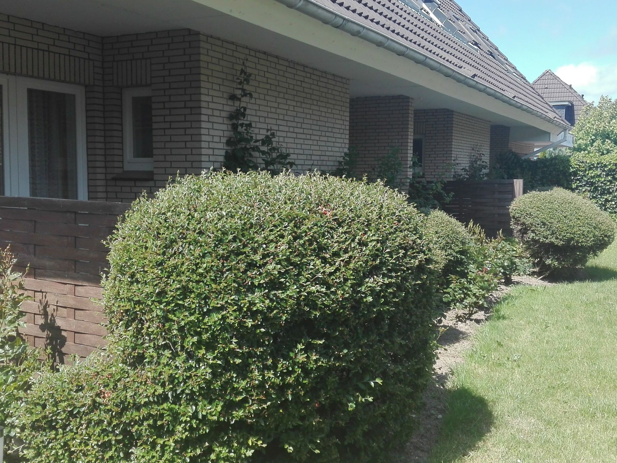 Appartement met terras vlakbij het strand van Büsum - foto 34