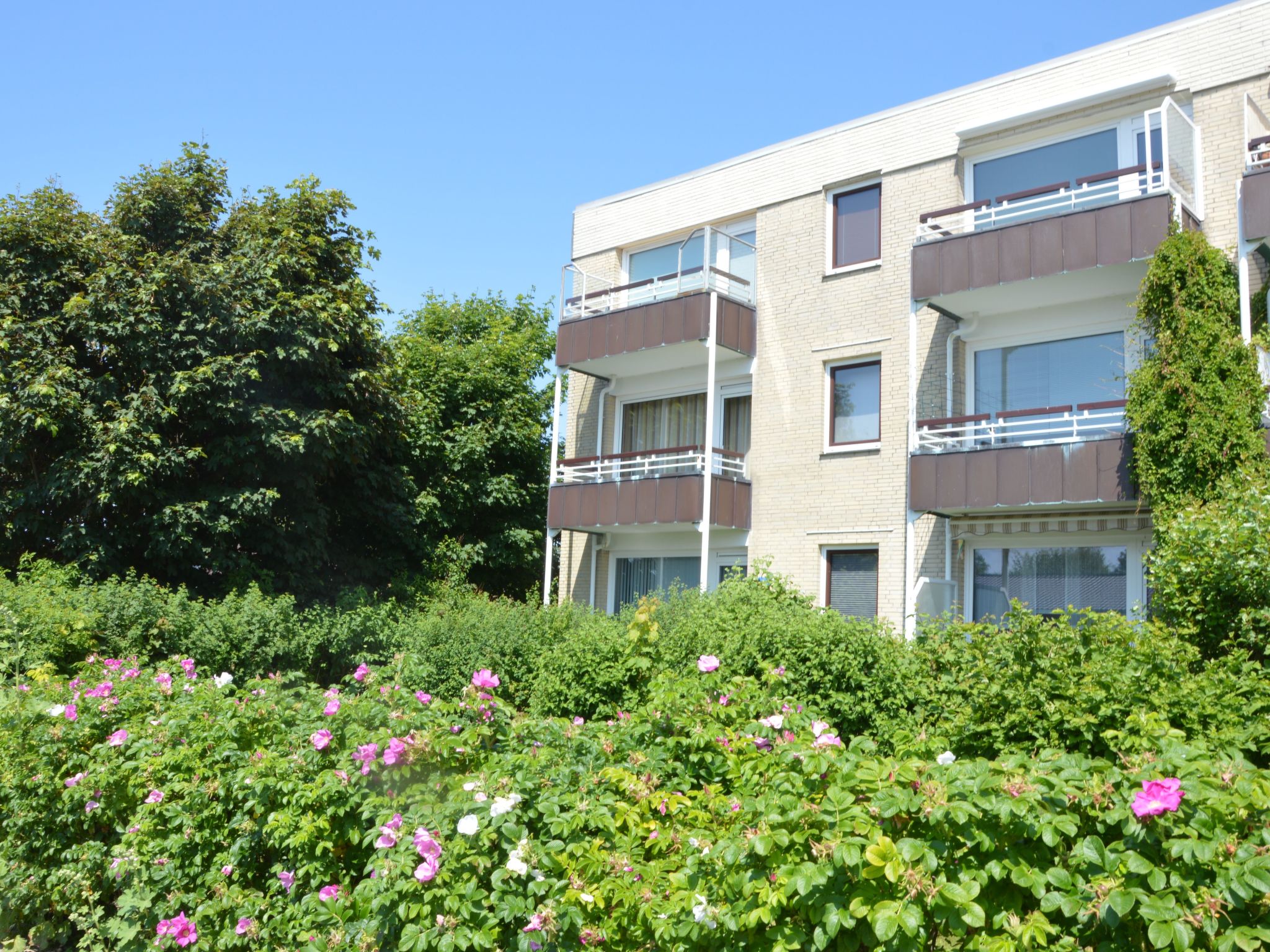 Gemütliche Ferienwohnung in Büsum-Image-tags.info