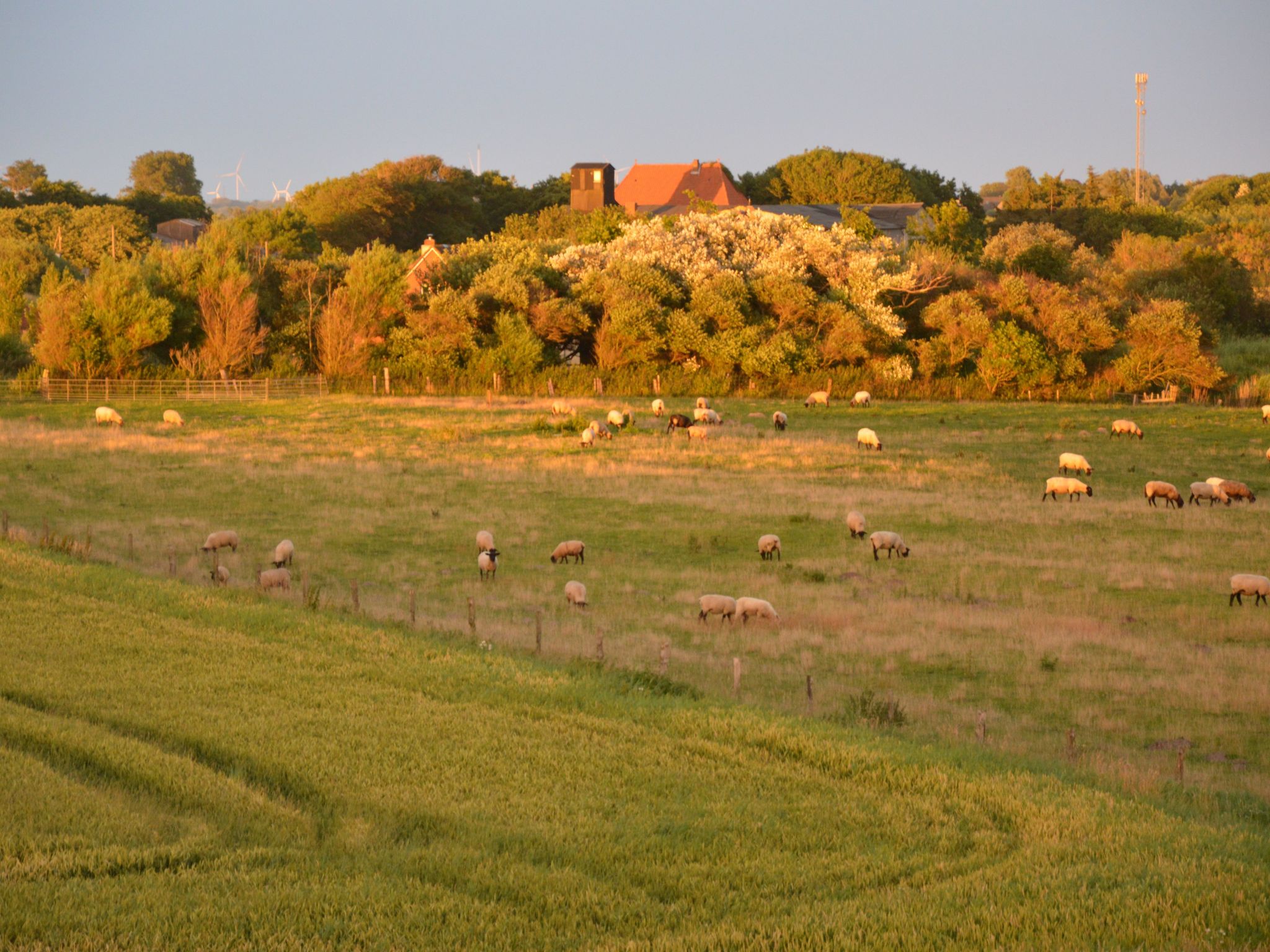 Gemütliche Ferienwohnung in Büsum-Image-tags.info