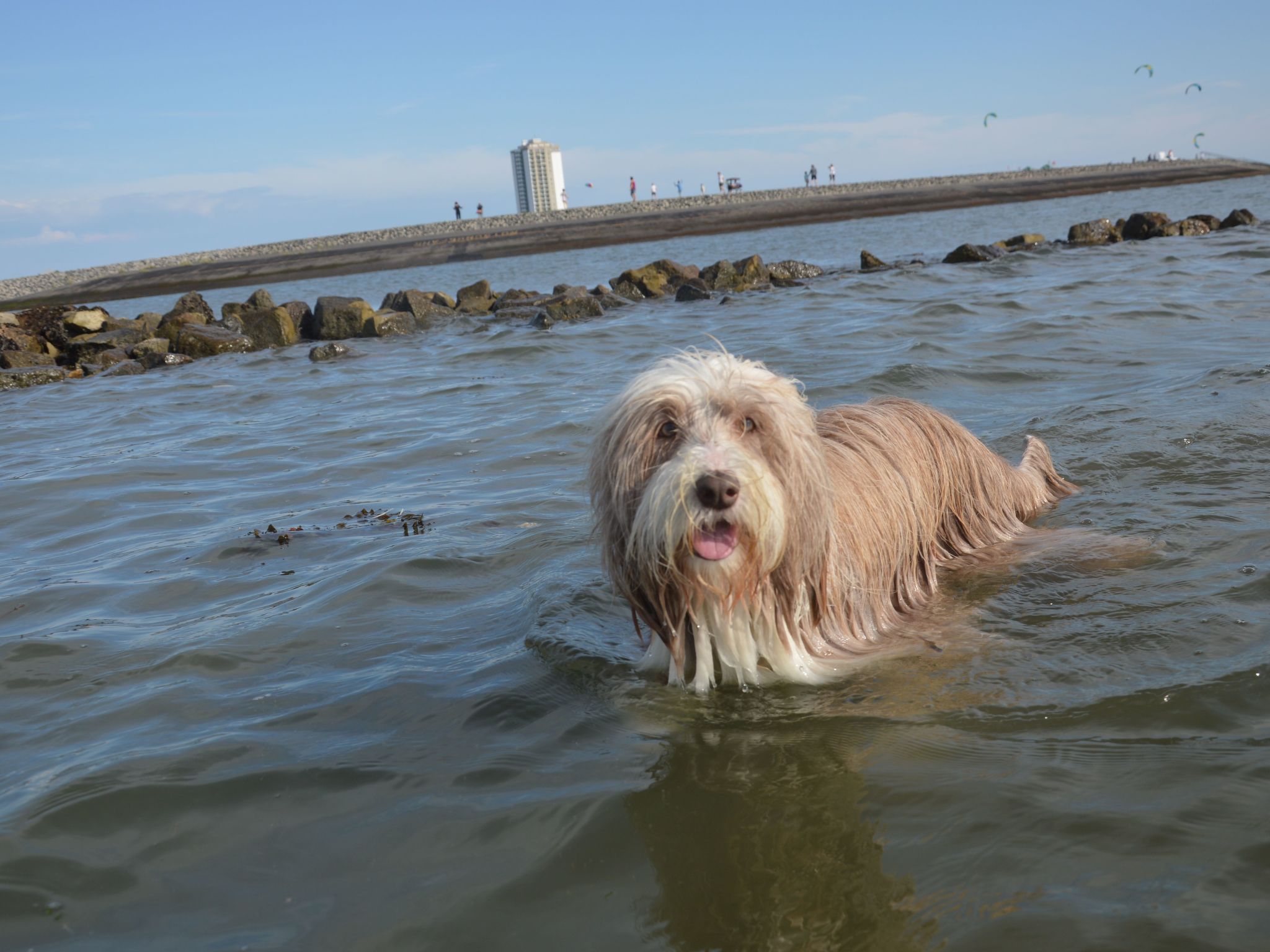 Gemütliche Ferienwohnung in Büsum-Image-tags.info