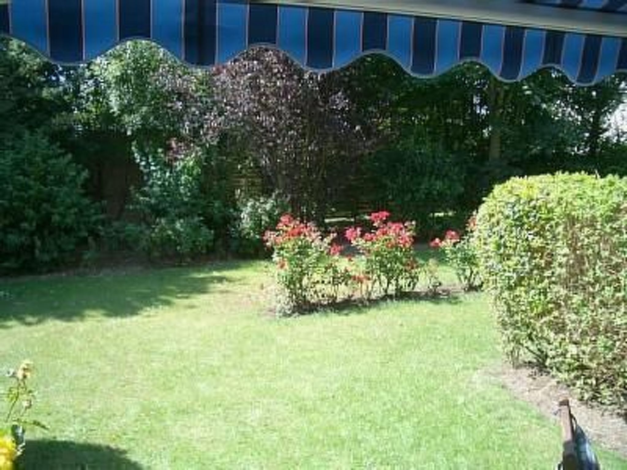 Pratzat-Image-tags.info