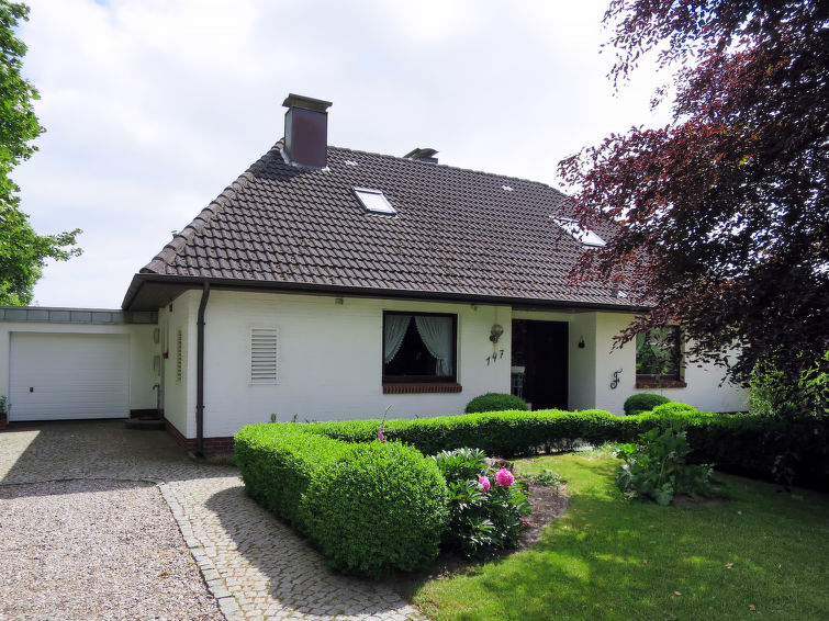 Friedrichsen II