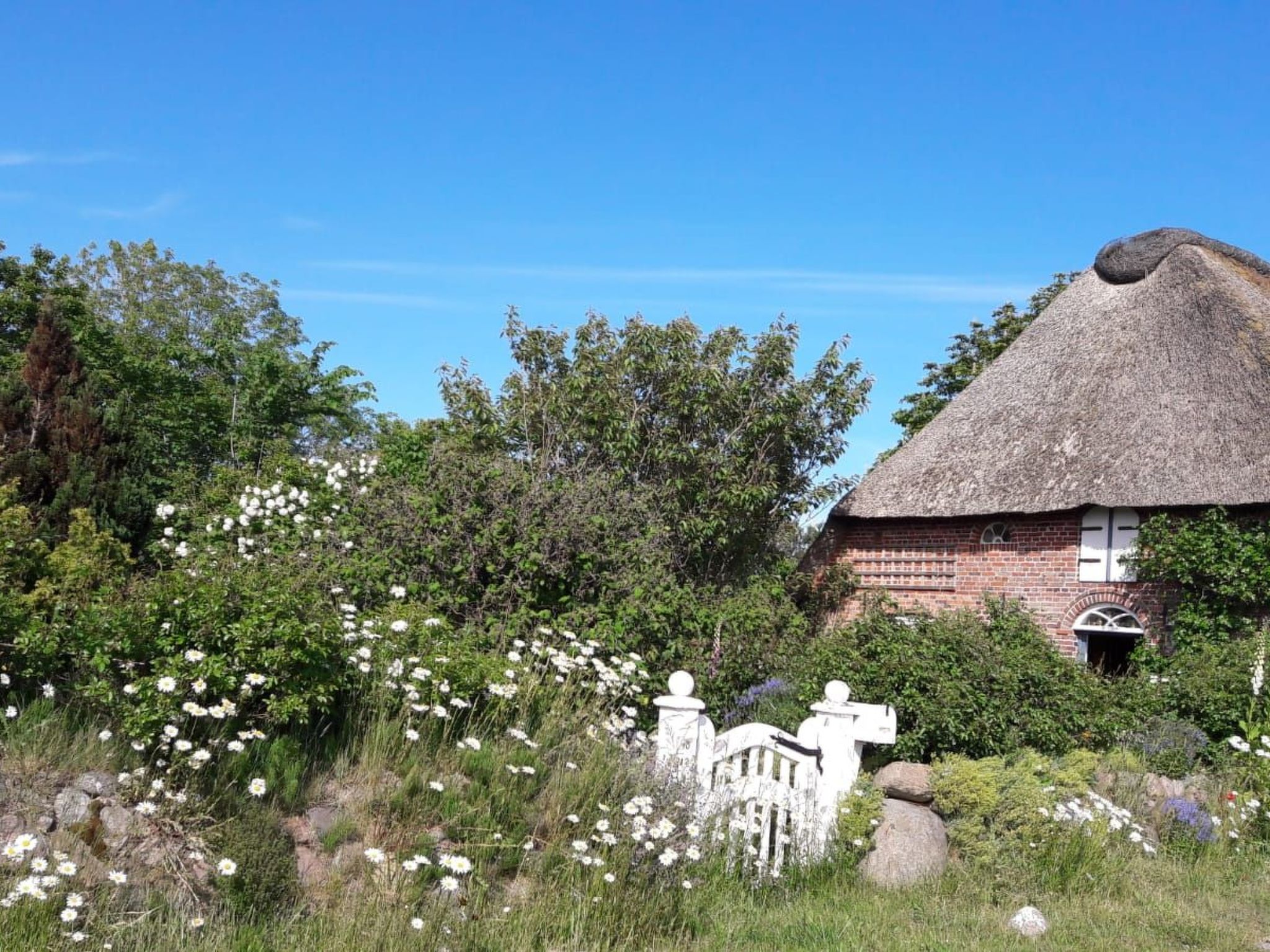 Fewo Meeresbrise-Binnen