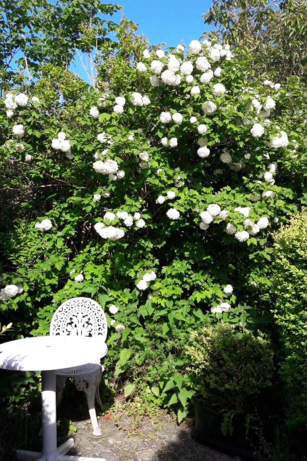 Fewo Meeresbrise-Binnen