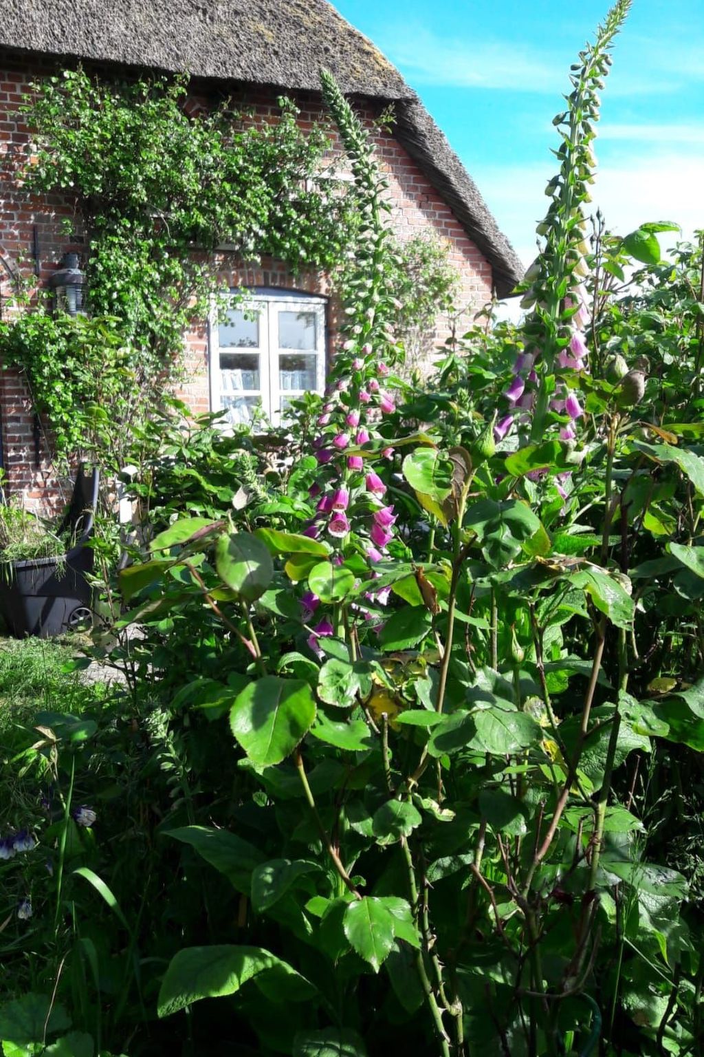 Fewo Meeresbrise-Binnen