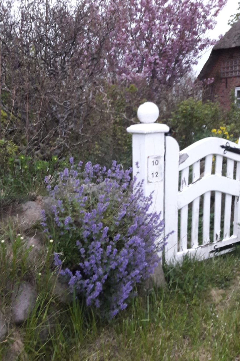 Fewo Meeresbrise-Binnen