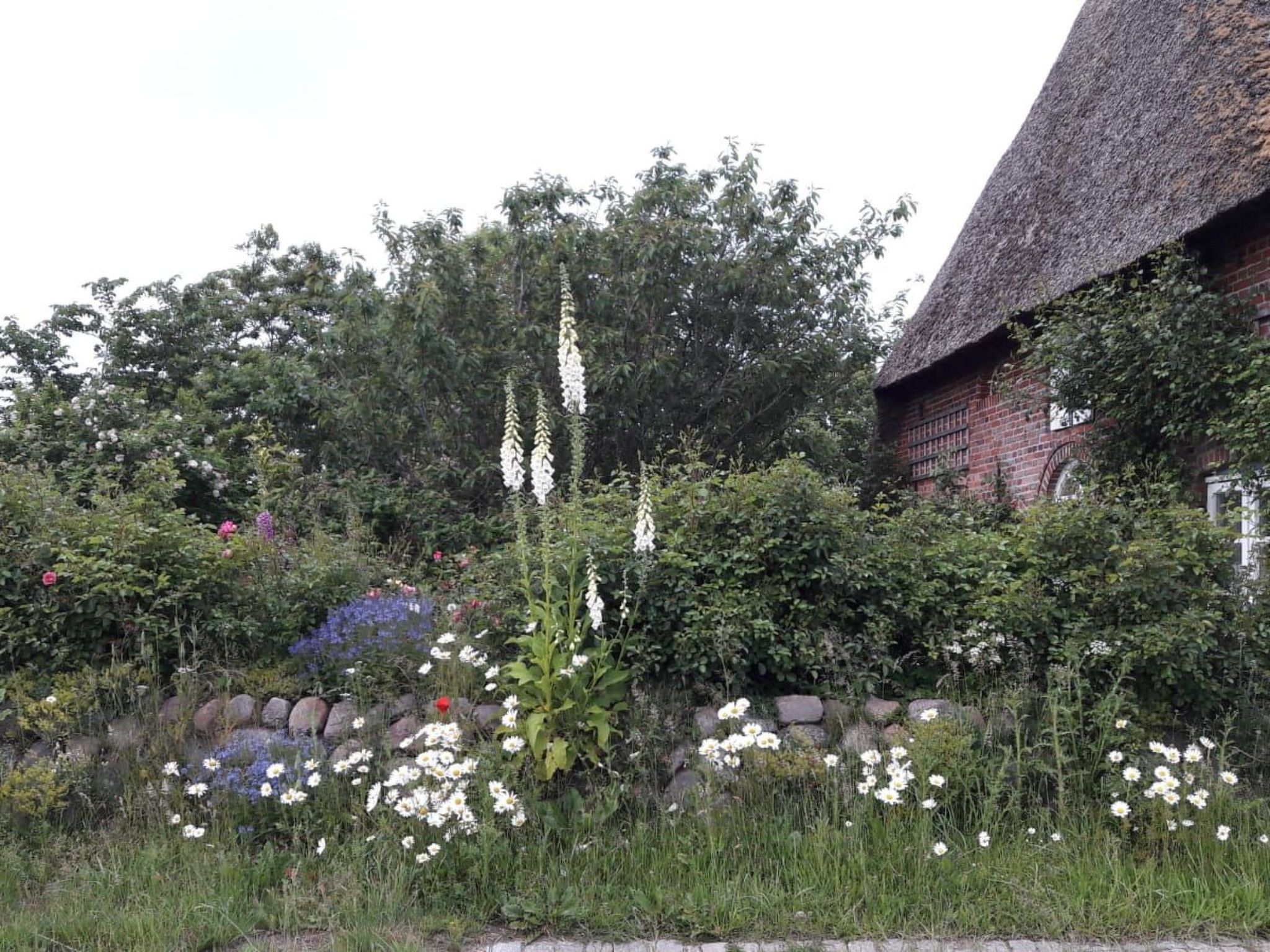 Fewo Meeresbrise-Binnen