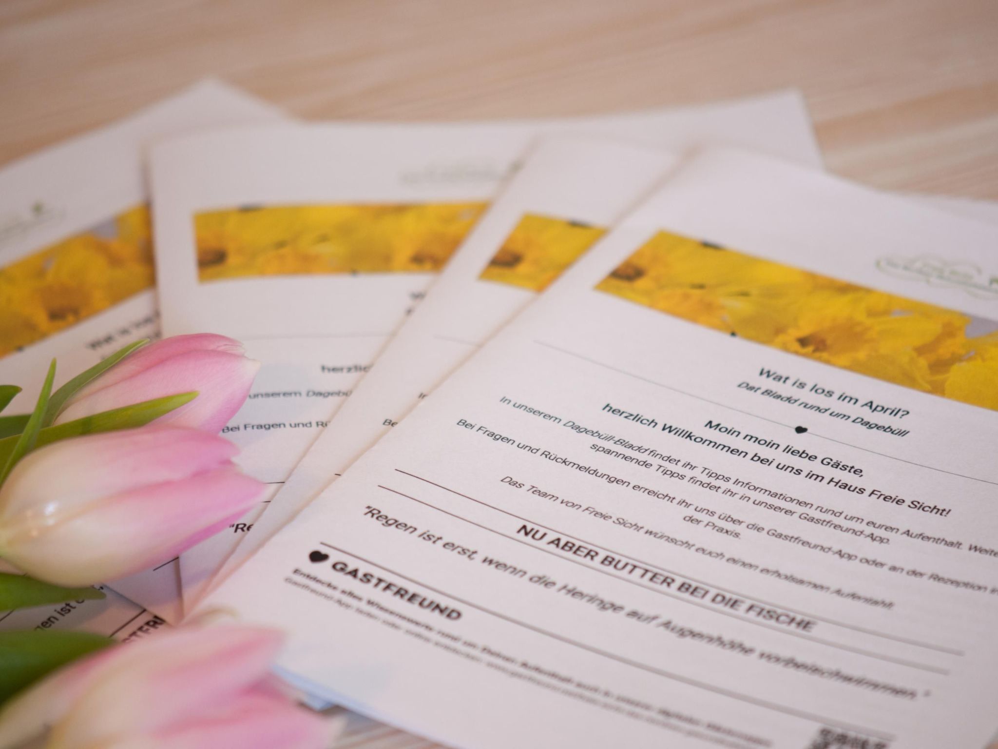 Gemütliche Wohnung für 2 Personen mit Gartensauna-Inside