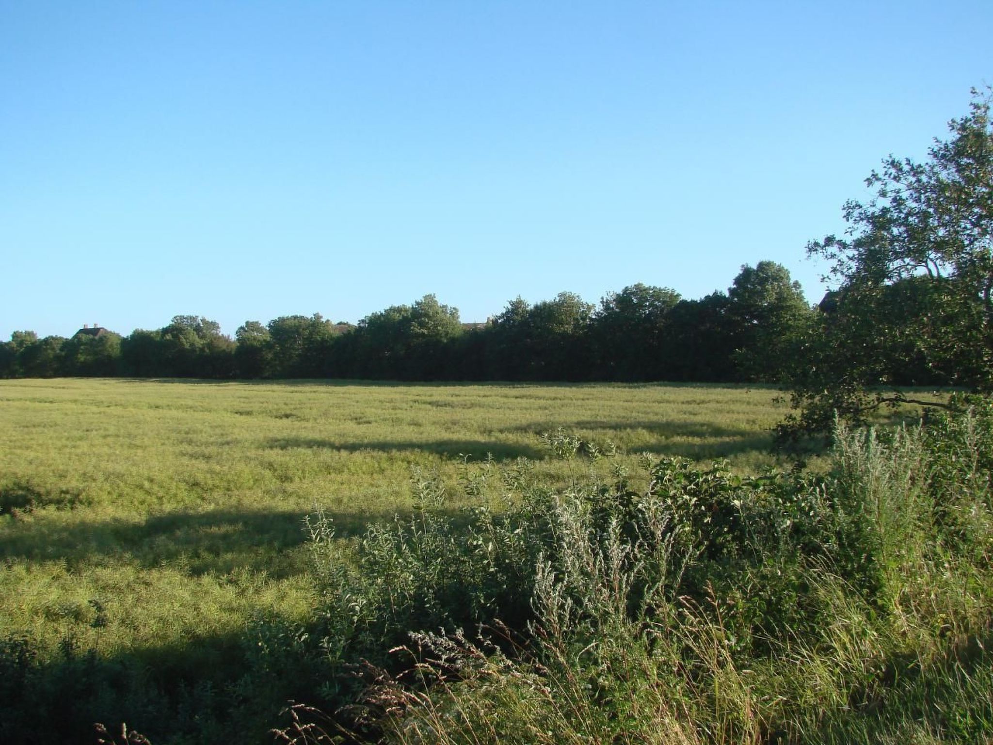 In Mühlendeich mit Großem Garten-Image-tags.info