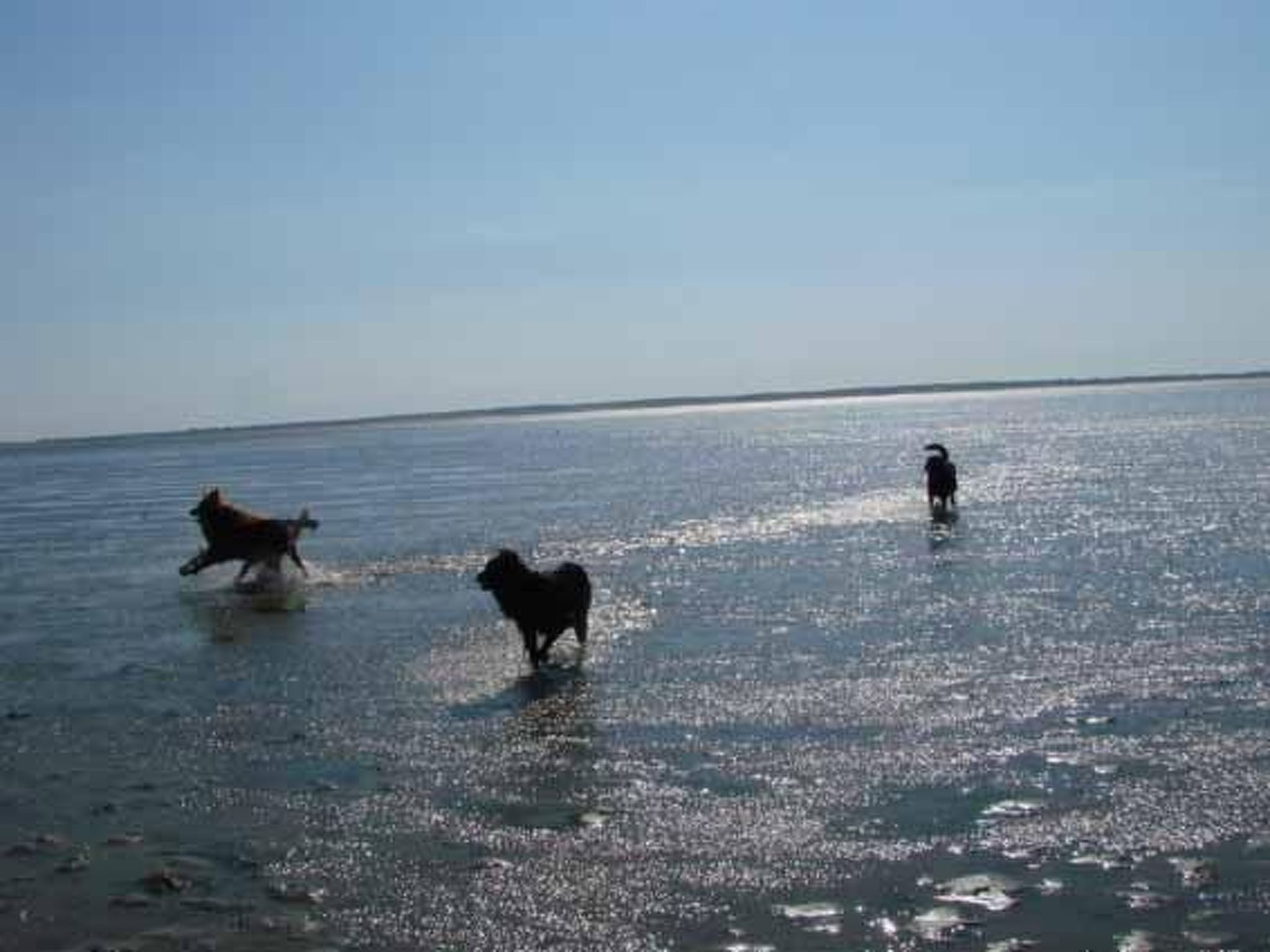 In Mühlendeich mit Großem Garten-Image-tags.info