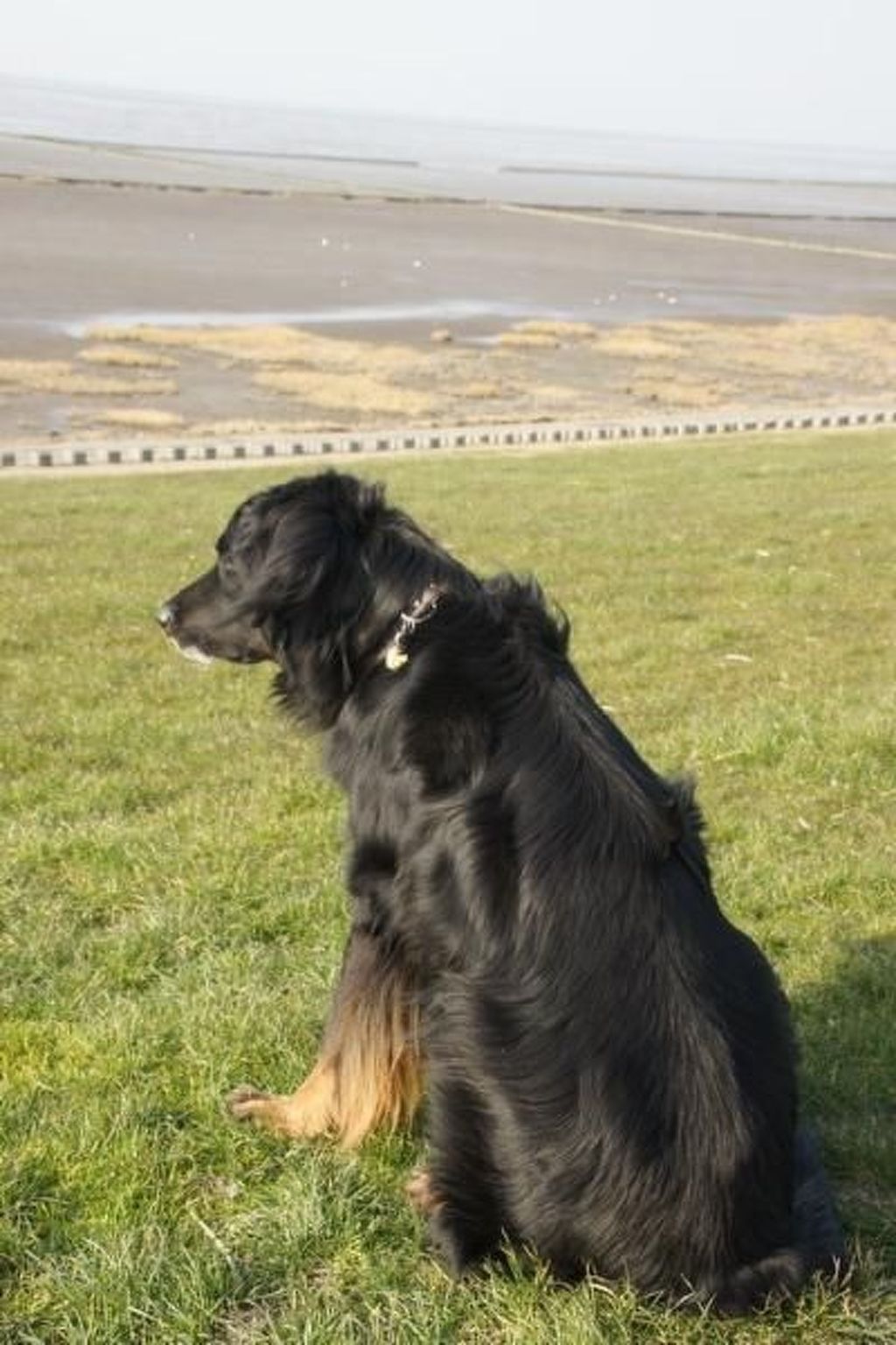 In Mühlendeich mit Großem Garten-Image-tags.info