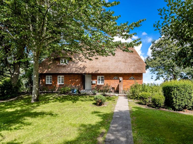 Reetdachhaus inmitten von Wiesen und Feldern