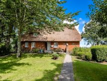 Reetdachhaus inmitten von Wiesen und Feldern