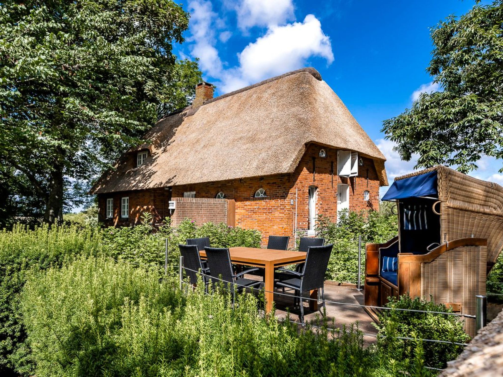Reetdachhaus inmitten von Wiesen und Feldern-Binnen