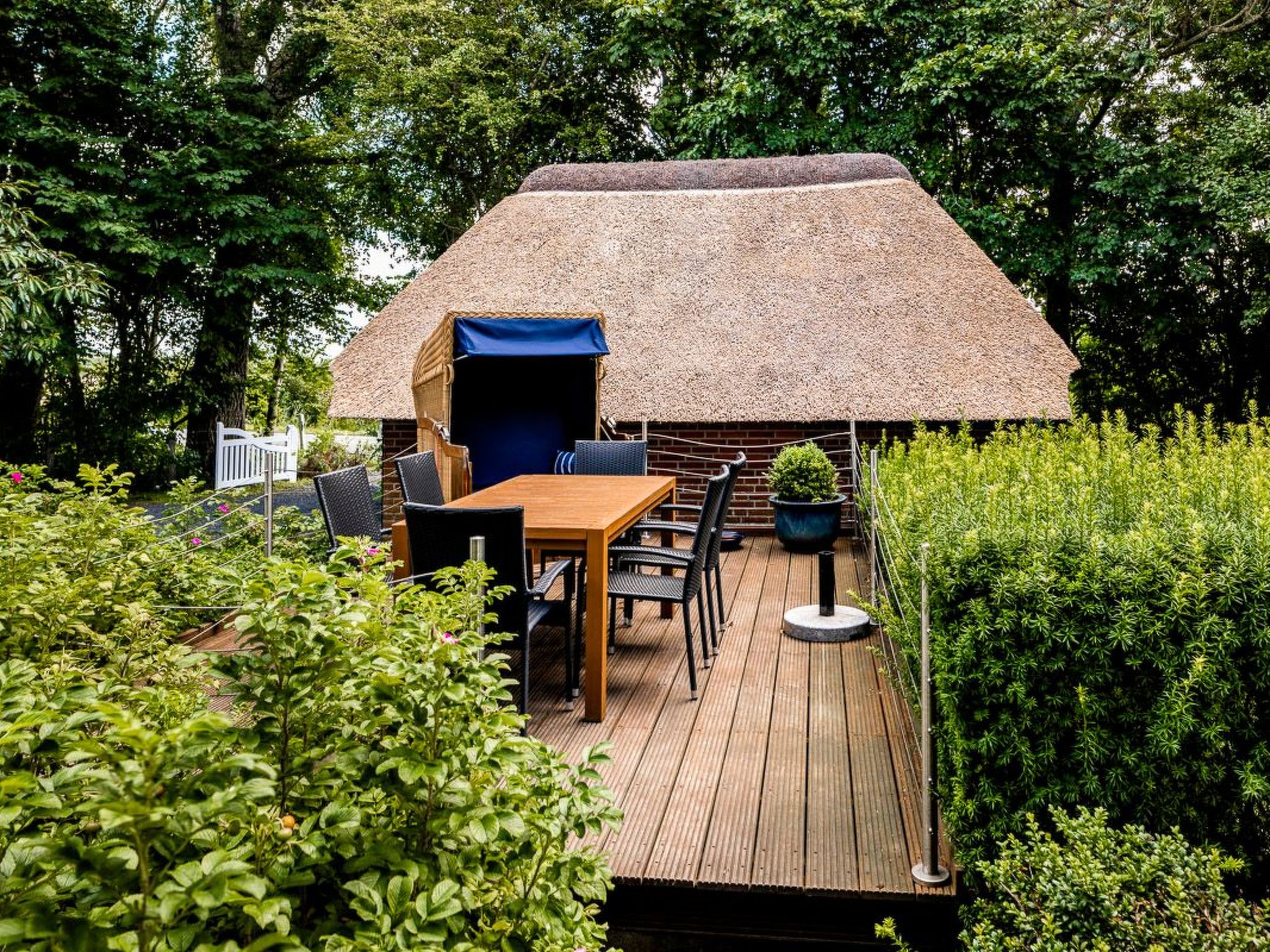 Reetdachhaus inmitten von Wiesen und Feldern-Binnen