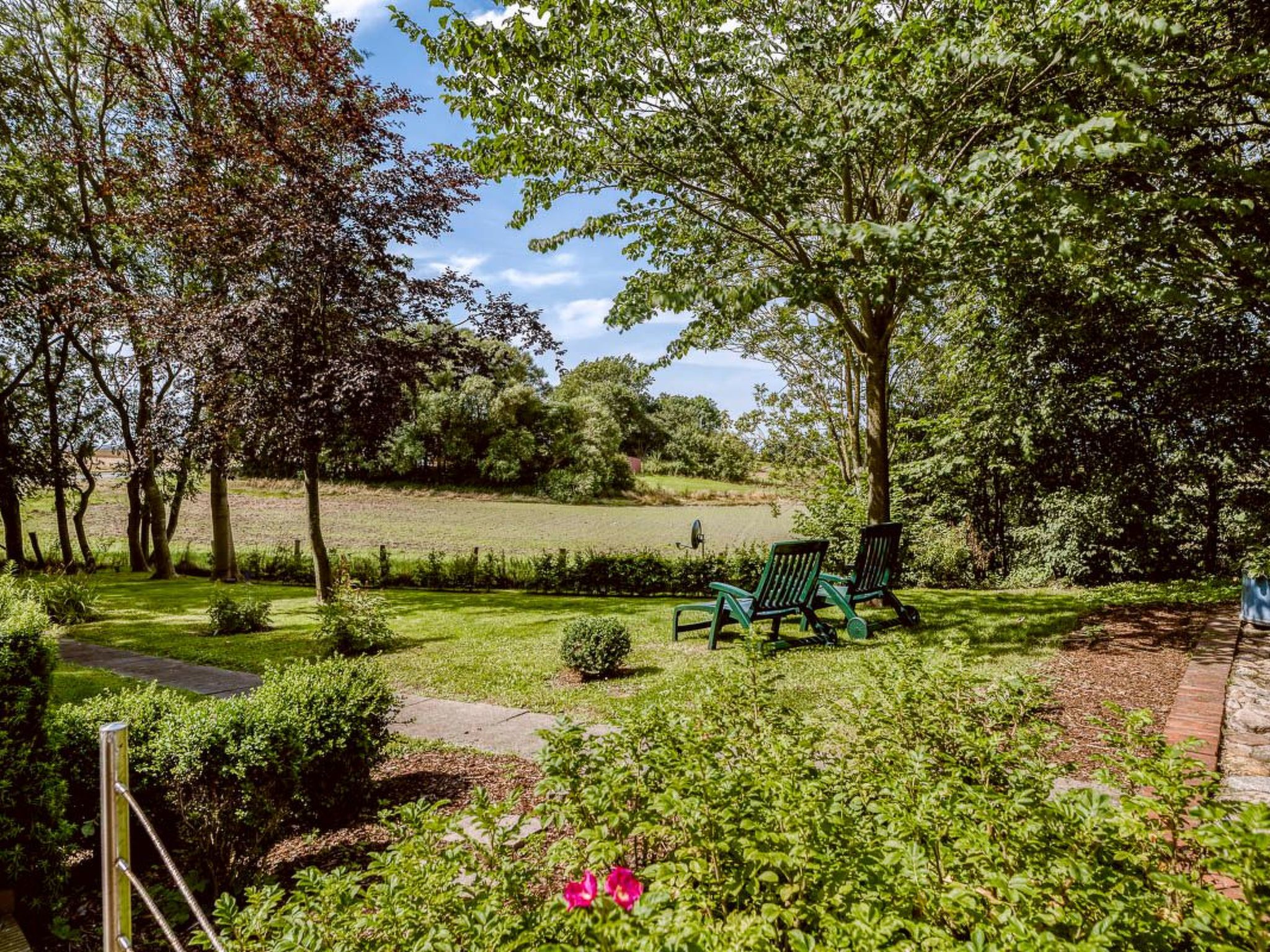 Reetdachhaus inmitten von Wiesen und Feldern-Binnen