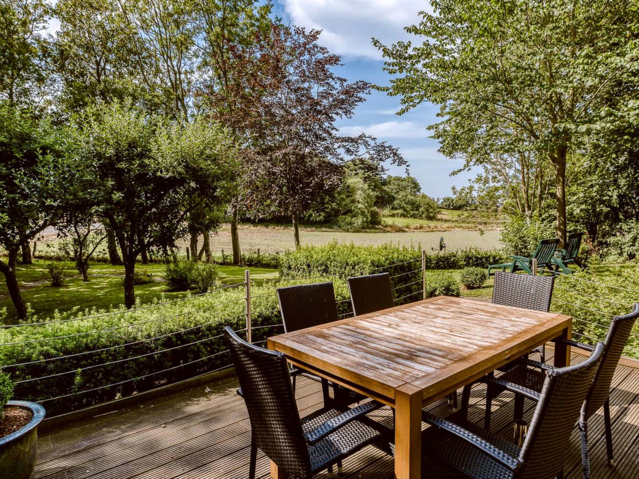 Reetdachhaus inmitten von Wiesen und Feldern-Binnen