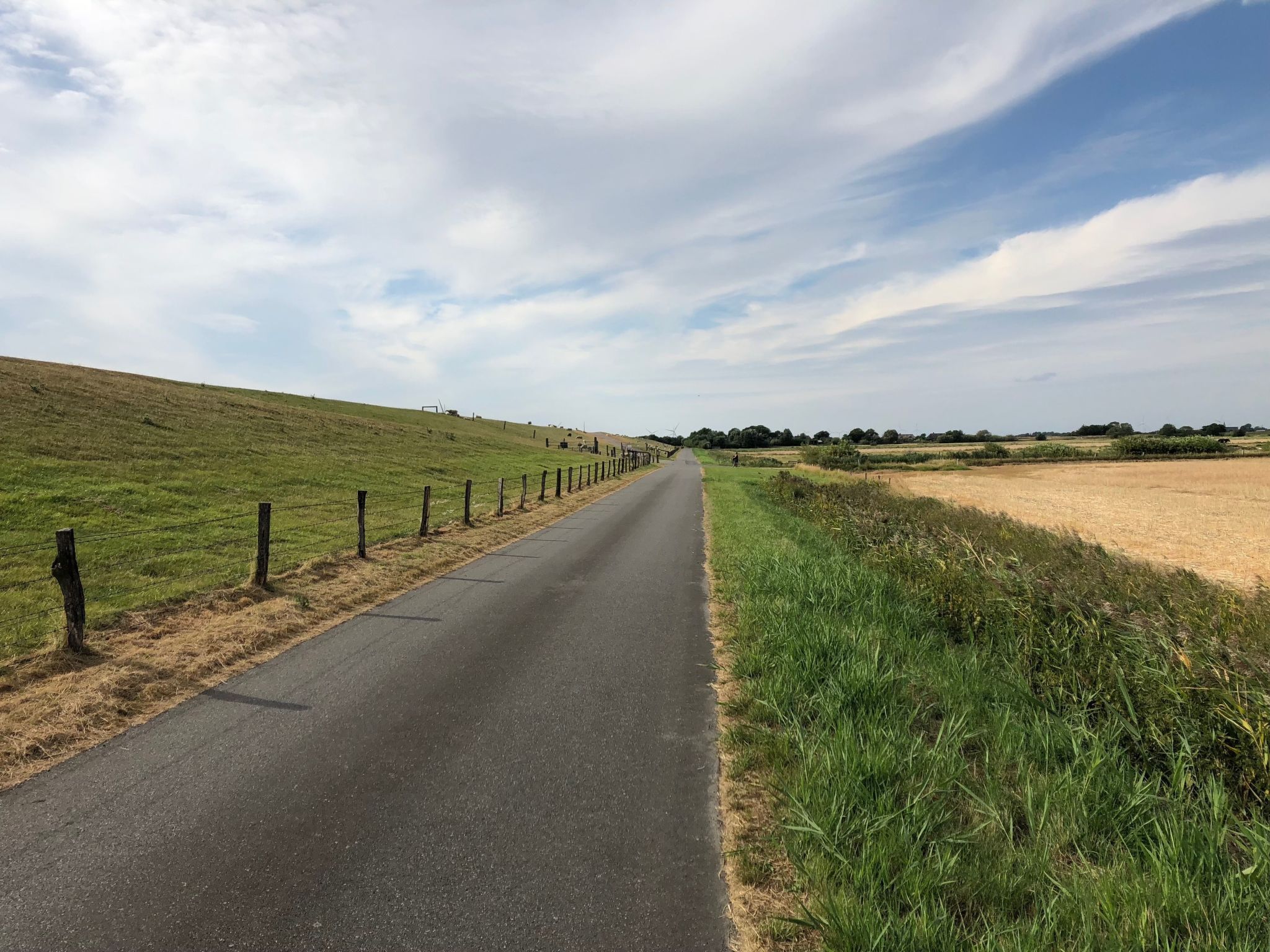 Reetdachhaus inmitten von Wiesen und Feldern