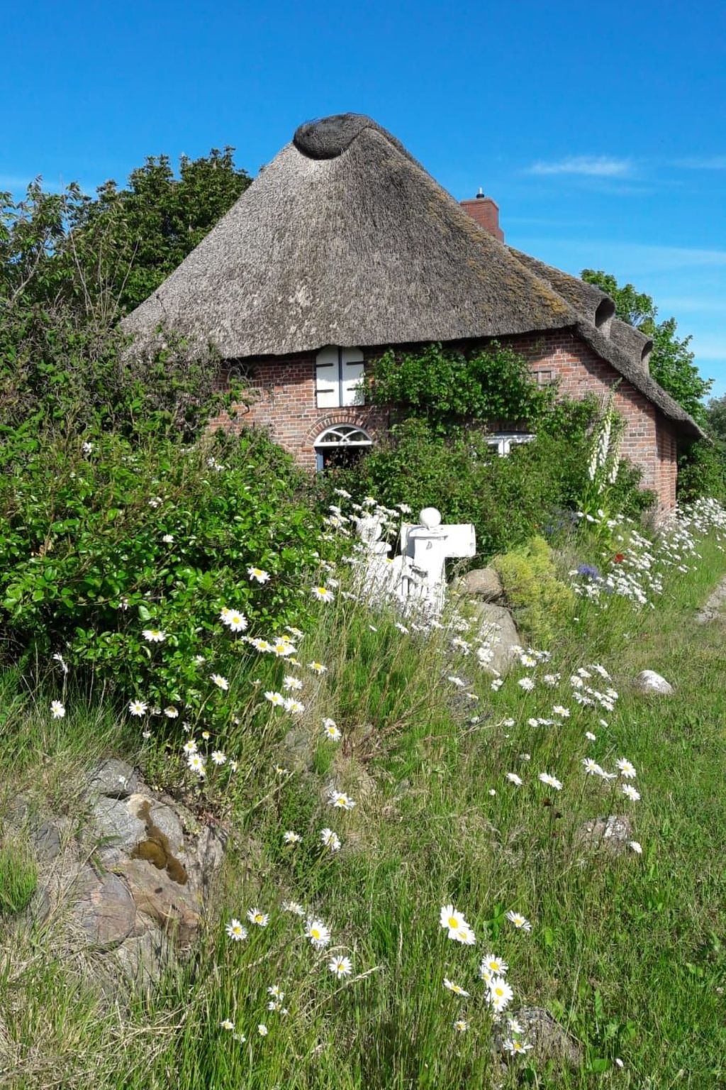 Apartment im Friesenhaus Dikhü-Binnen