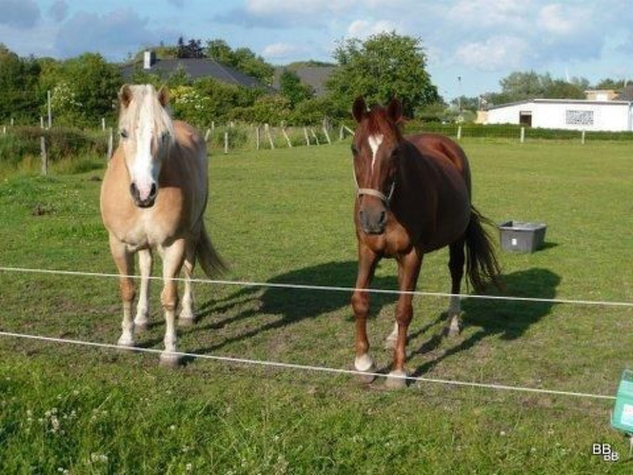 Toms Hütte in Bohmstedt-Binnen
