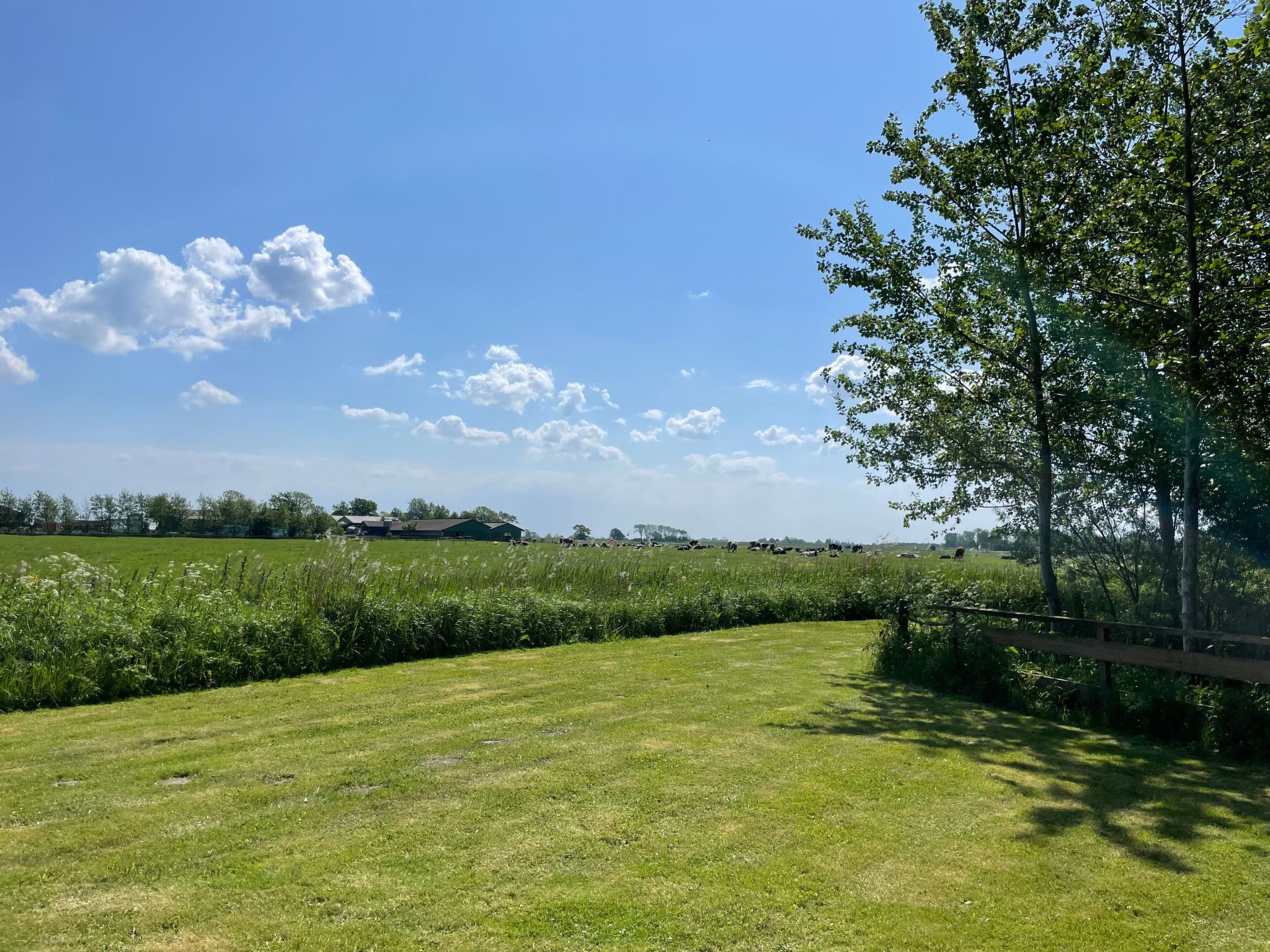 Reetdachhaus für erholsamen Familienurlaub-Binnen