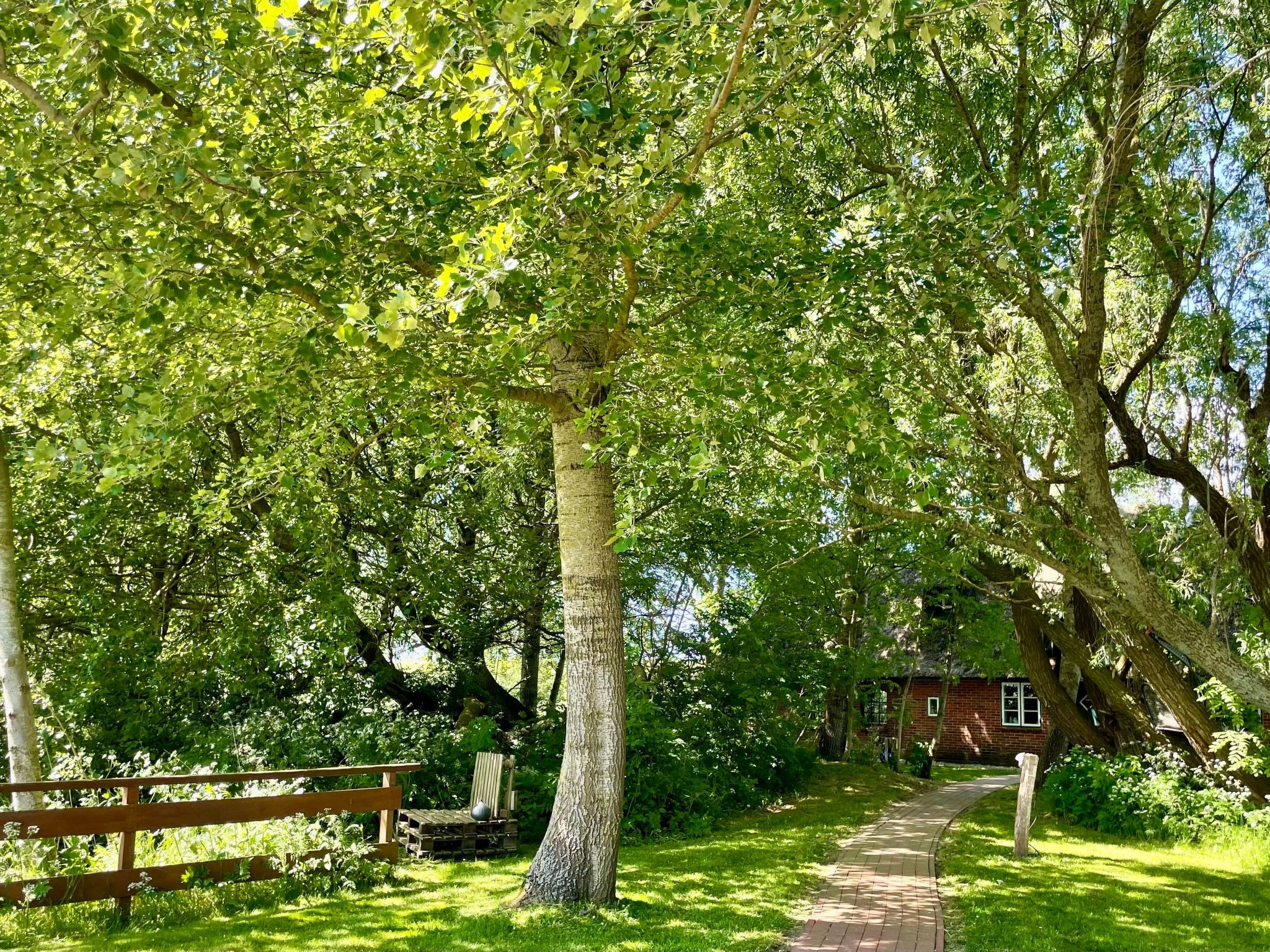 Reetdachhaus für erholsamen Familienurlaub-Binnen