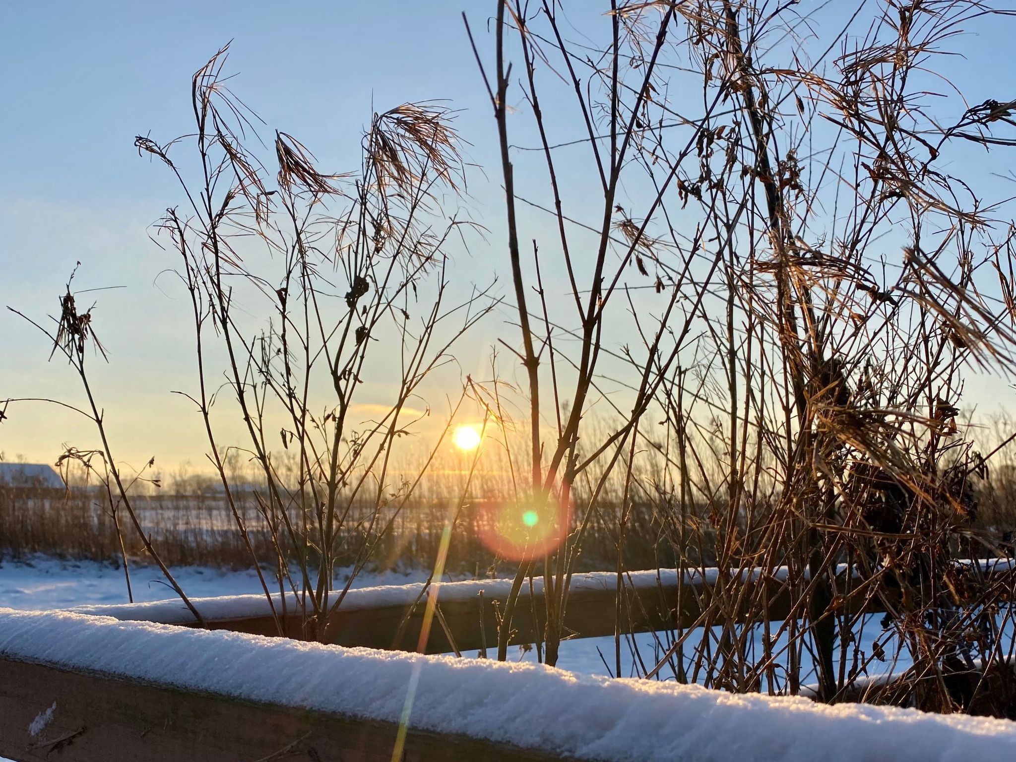 Reetdachhaus für erholsamen Familienurlaub-Binnen