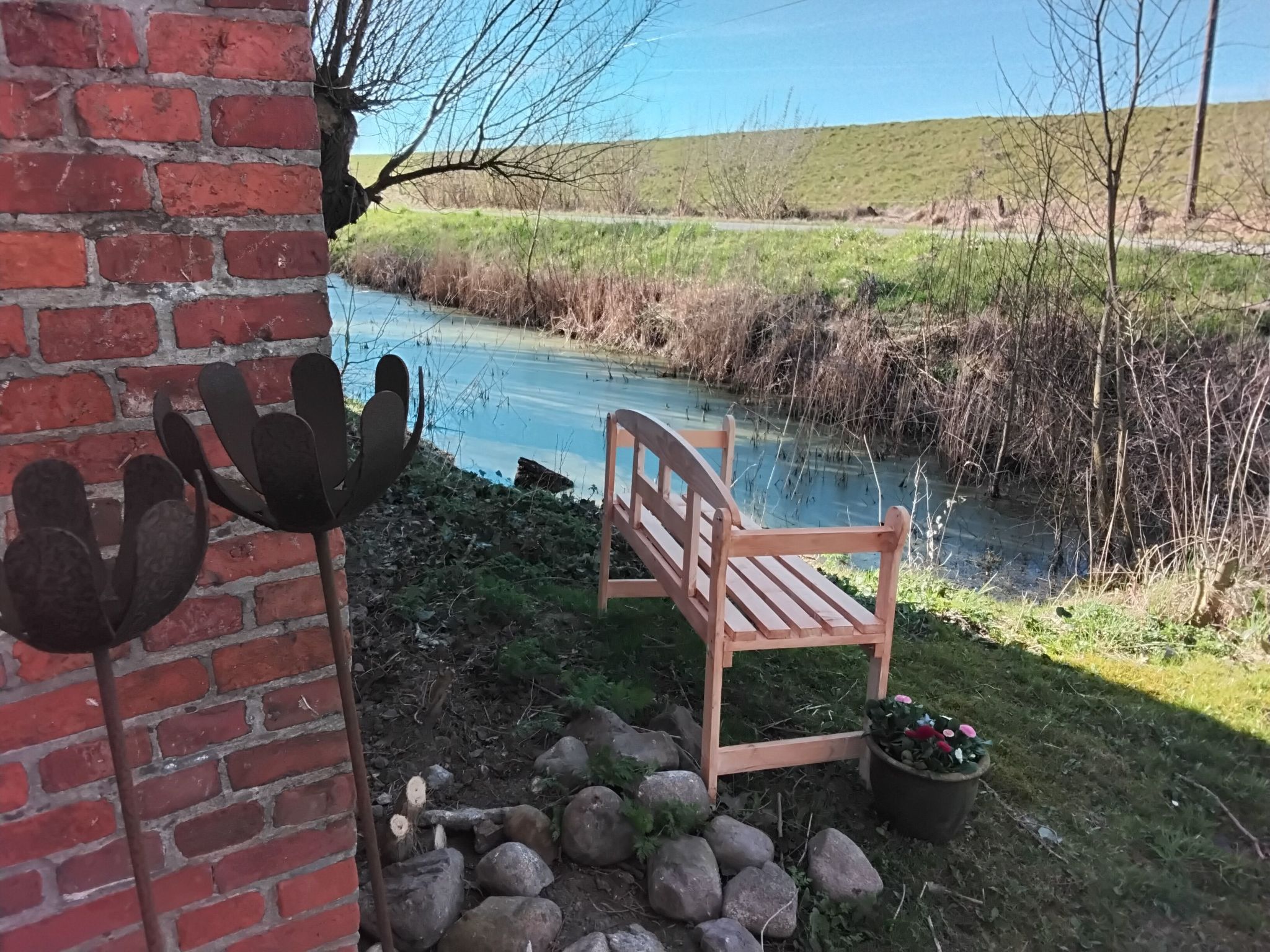 Ferienhaus in Norderfriedrichskoog (Deutschland) und 1 Hund erlaubt