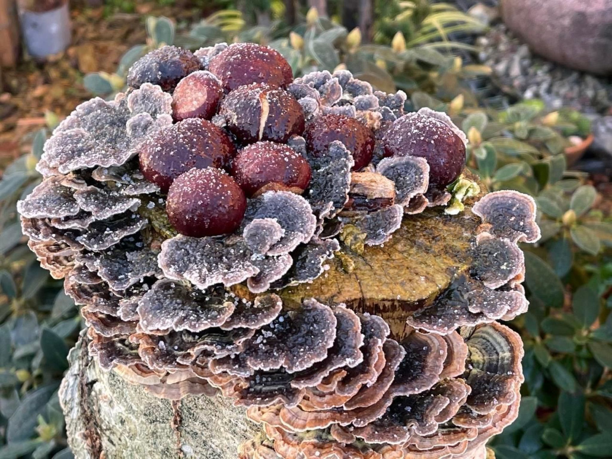 Ruhige Wohnung in Risum mit Garten und Terrasse-Dehors