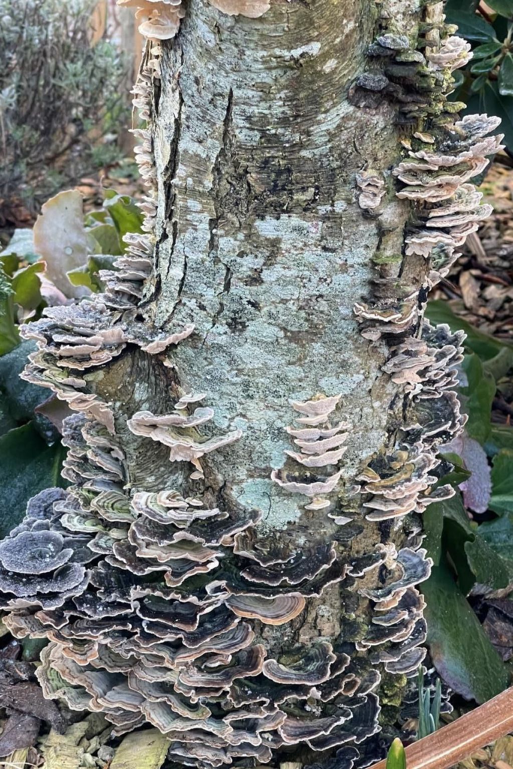 Ruhige Wohnung in Risum mit Garten und Terrasse-Dehors