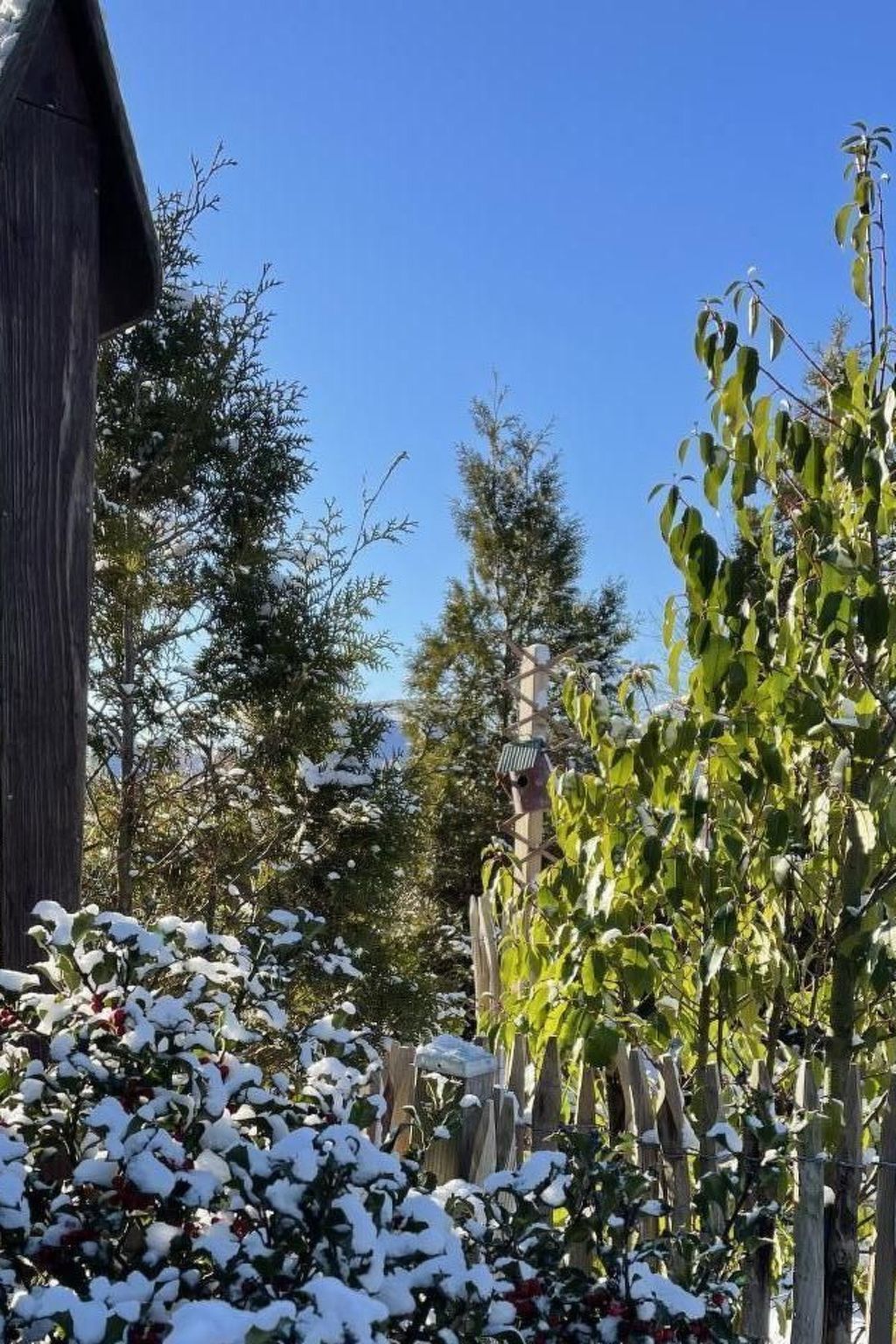 Ruhige Wohnung in Risum mit Garten und Terrasse-Dehors