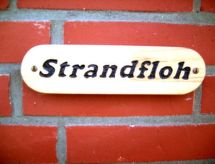 Strandfloh in Hörnum