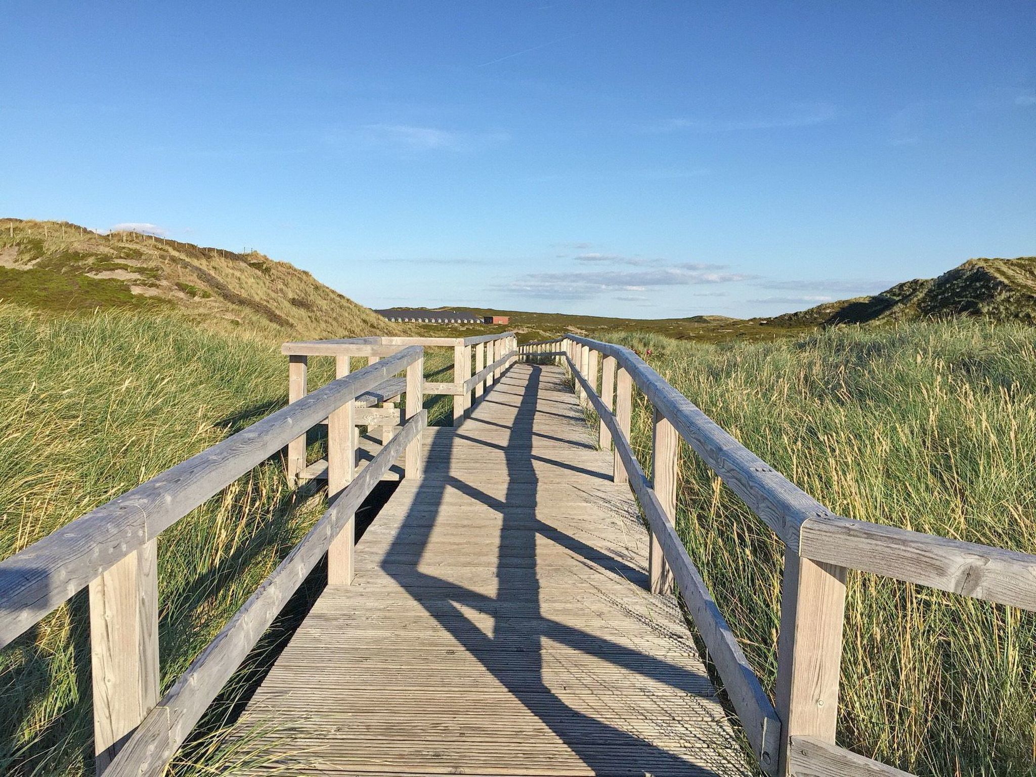 Strandfloh in Hörnum-Binnen