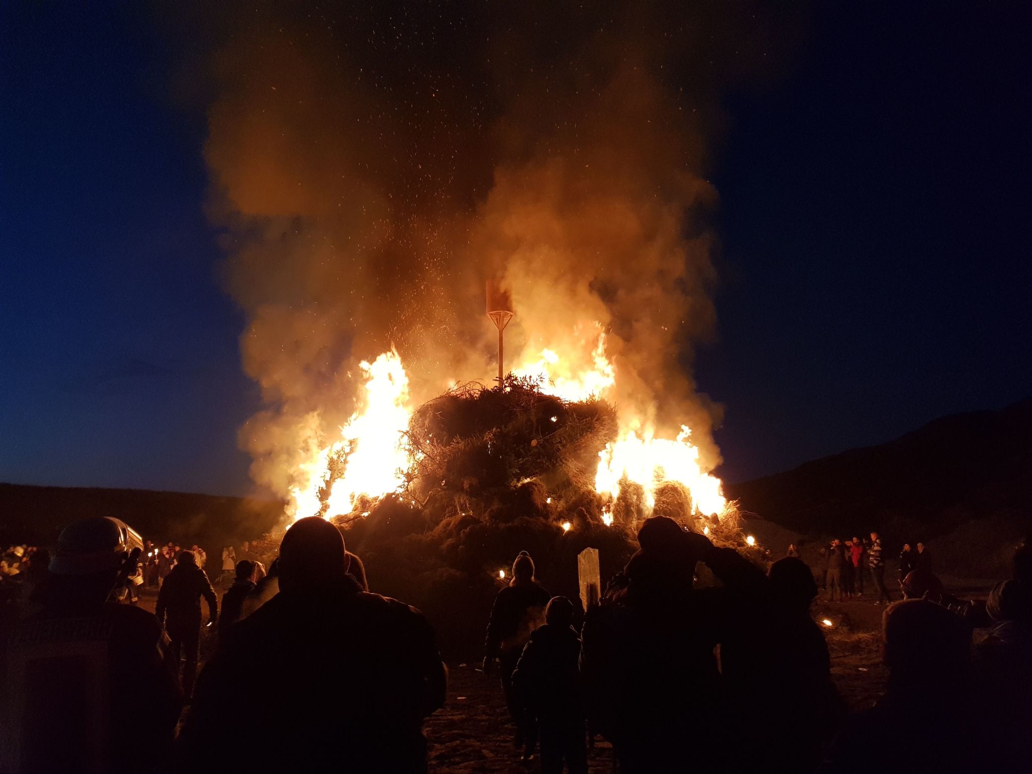 Strandfloh in Hörnum-Binnen