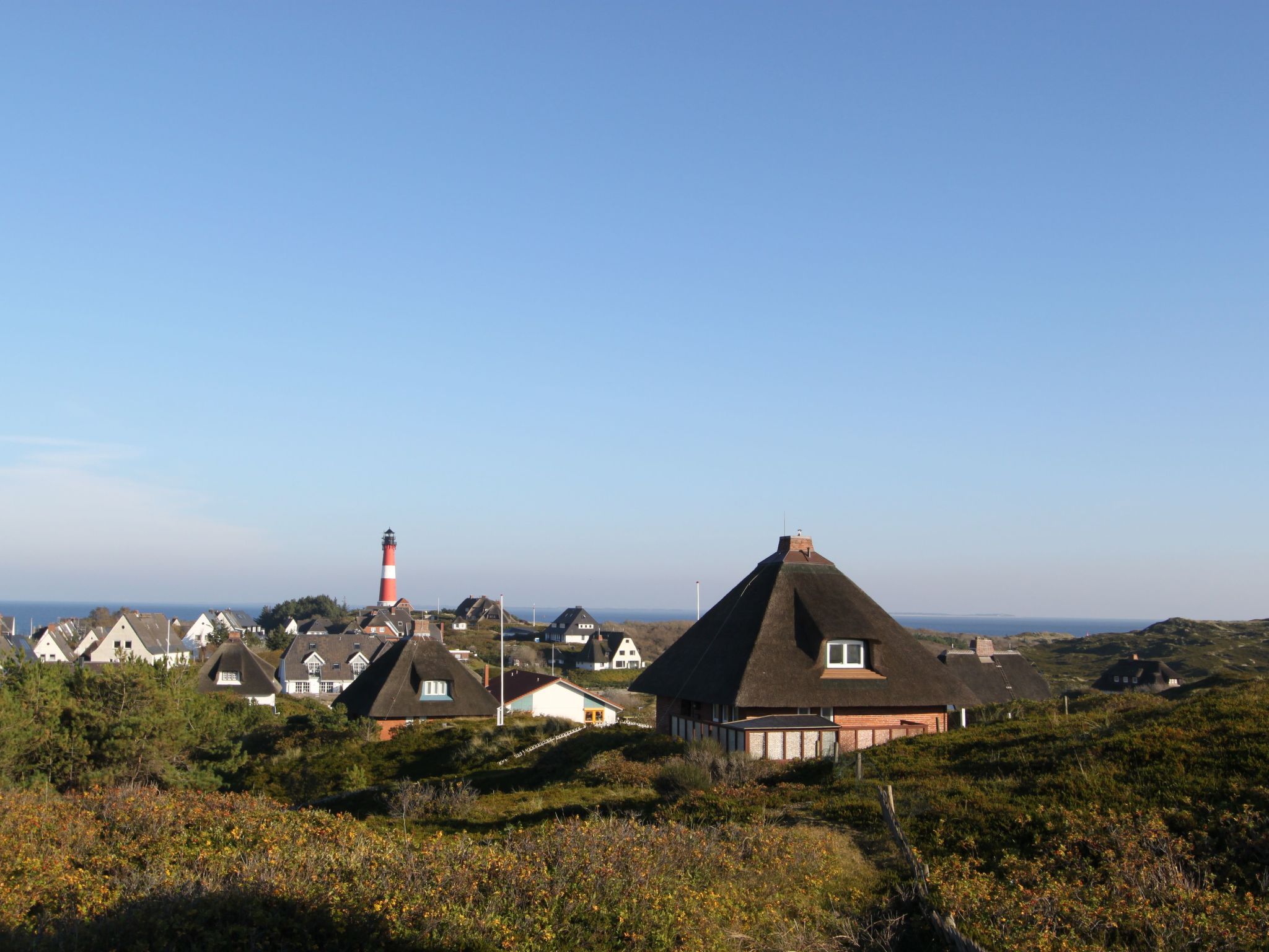 Strandfloh in Hörnum-Binnen