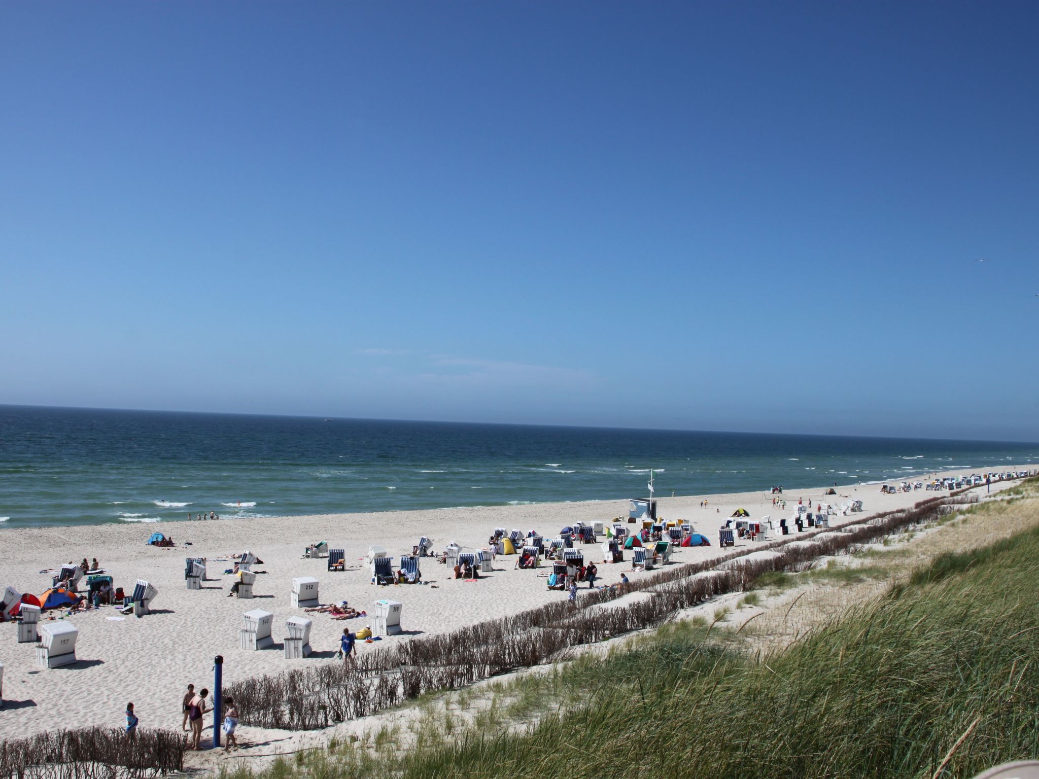 Strandfloh in Hörnum-Binnen
