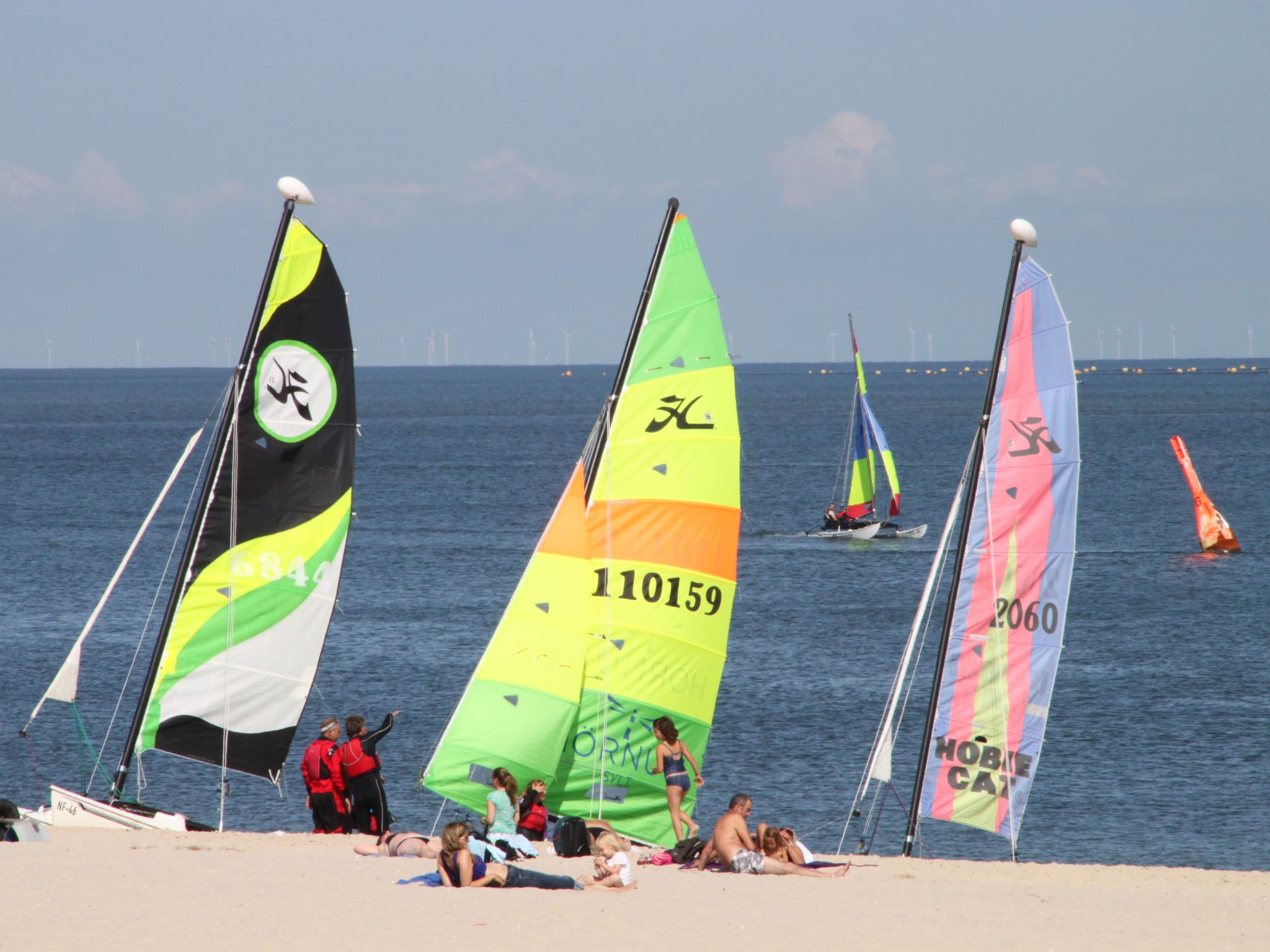 Strandfloh in Hörnum-Binnen