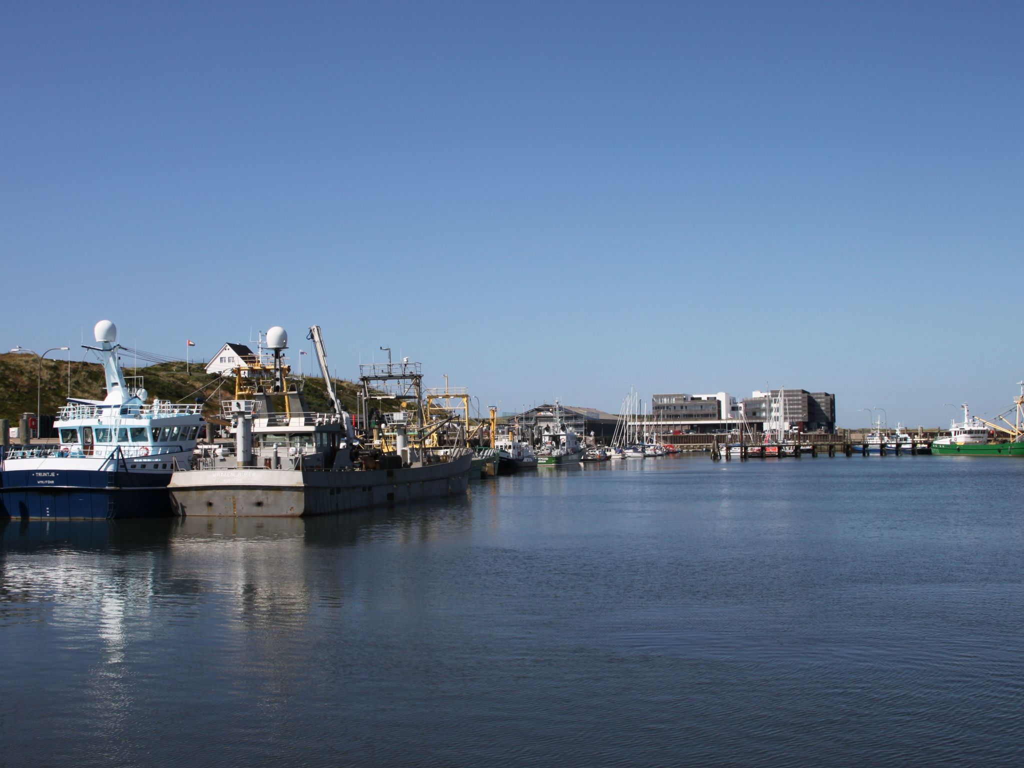Strandfloh in Hörnum-Binnen