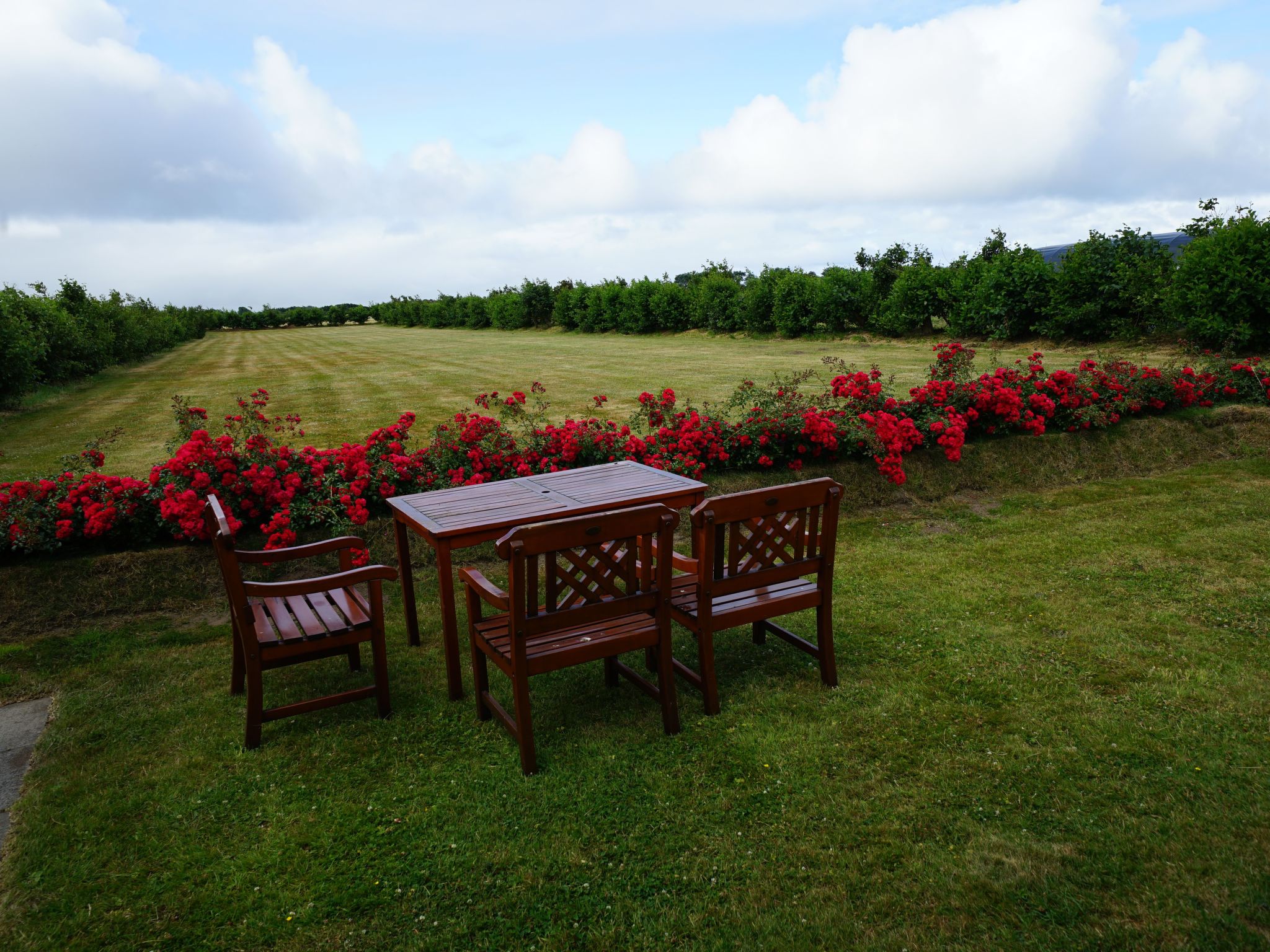 In Großmorsum mit Terrasse und Grill-Binnen