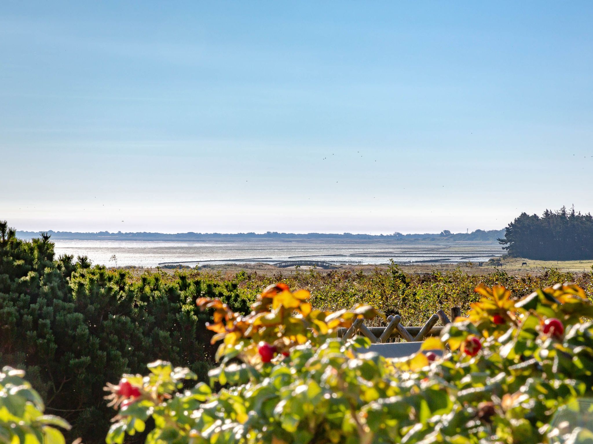 Sönshörn - S8M - in Munkmarsch-Binnen