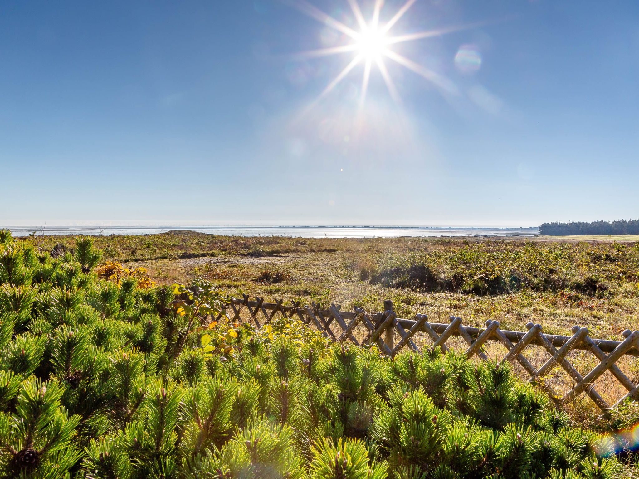 Sönshörn - S8M - in Munkmarsch-Binnen