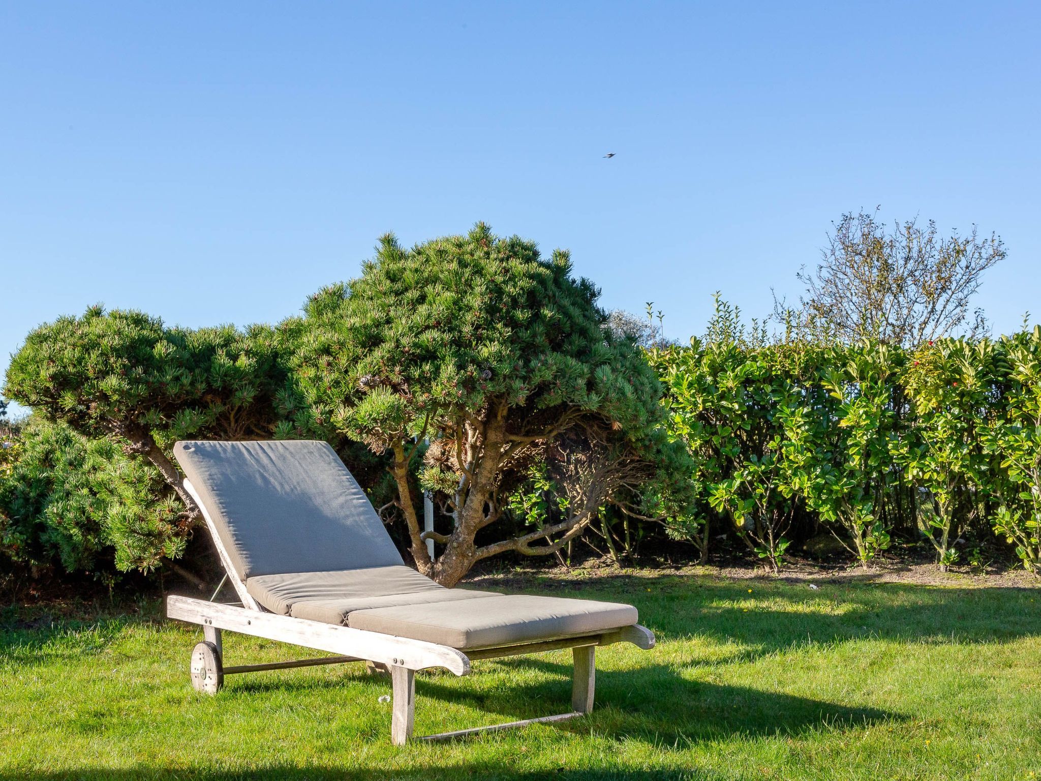 Sönshörn - S8M - in Munkmarsch-Binnen