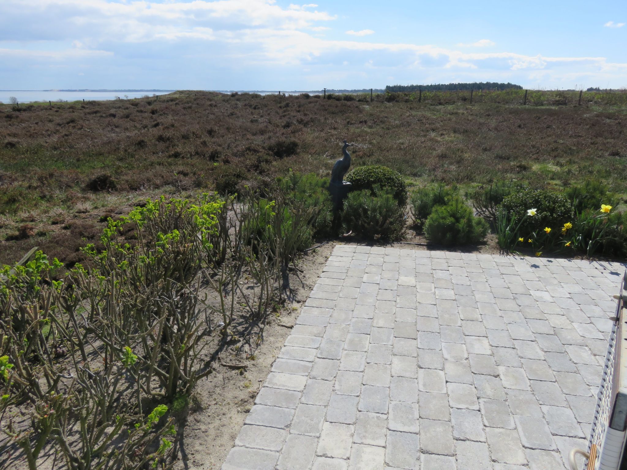 Sönshörn - S16 - in Munkmarsch-Binnen