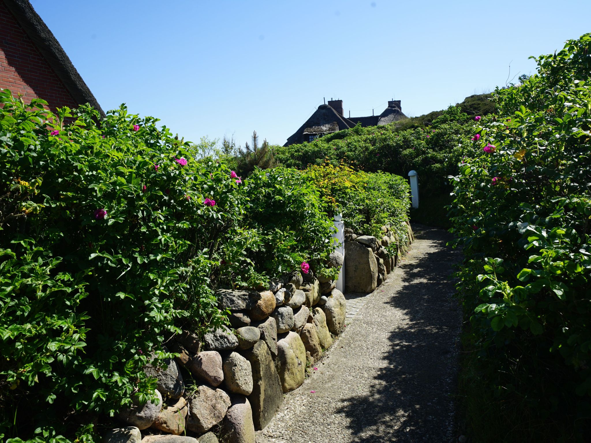 Dikstig - D8R - in Kampen auf Sylt-Buiten