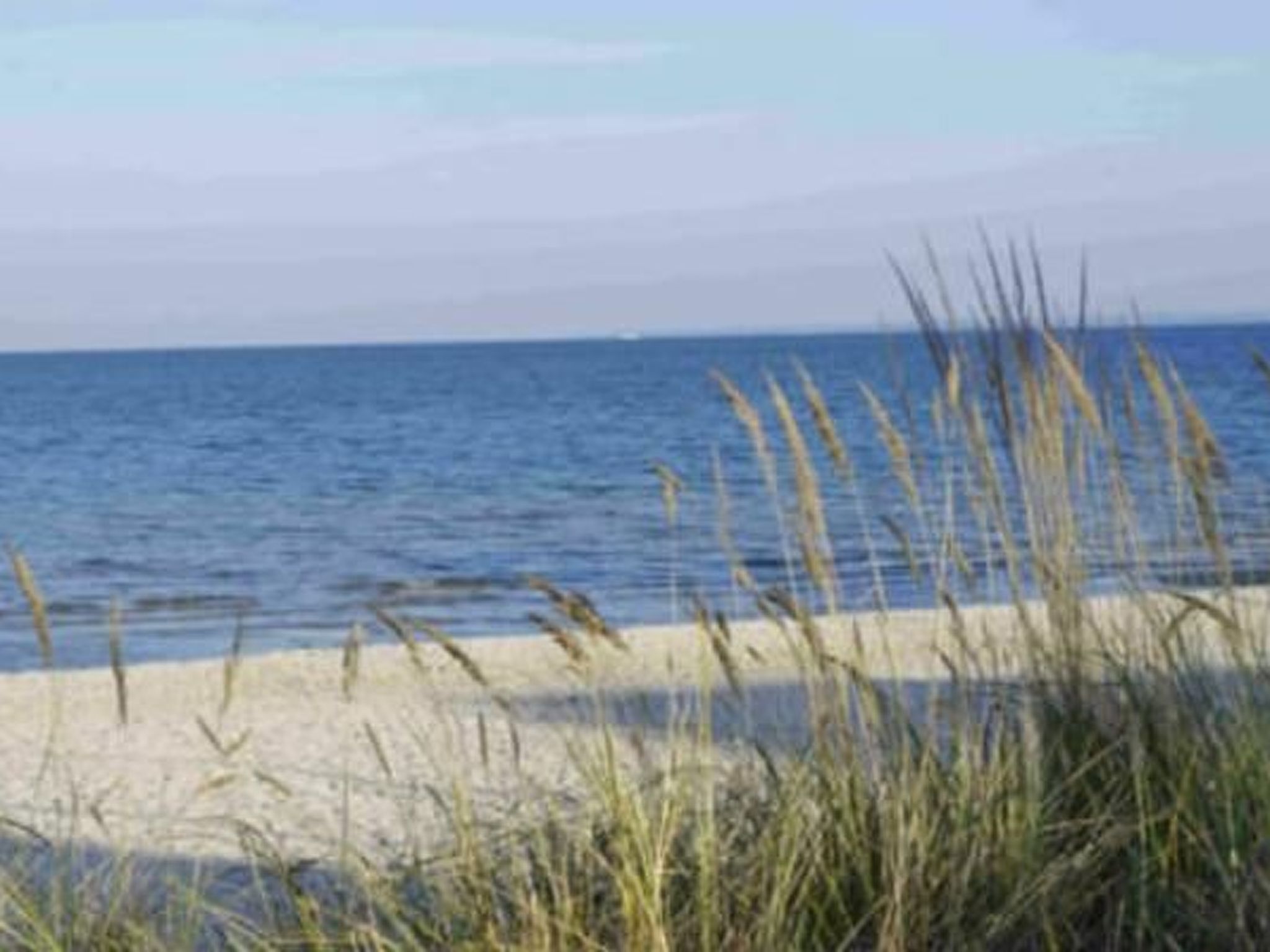 Appartement am Wendtorfer Strand-Binnen