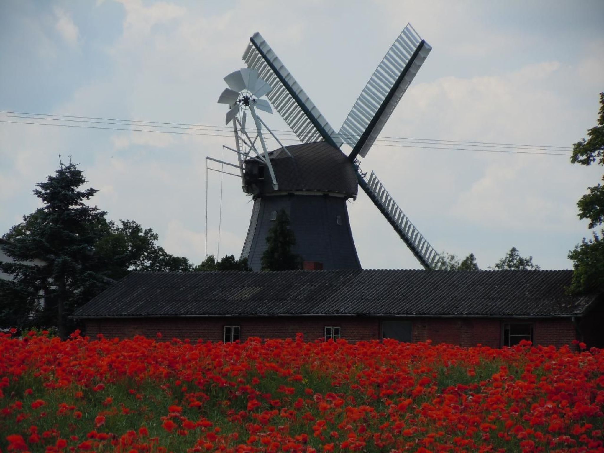 Appartement am Wendtorfer Strand