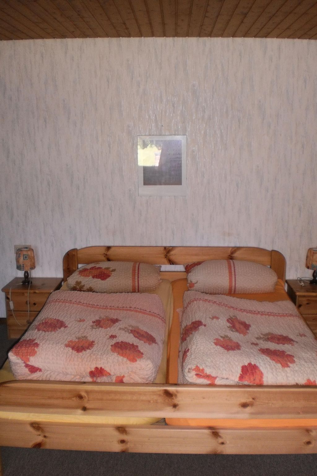 Ländliche Ferienwohnung mit Fahrradverleih-Binnen