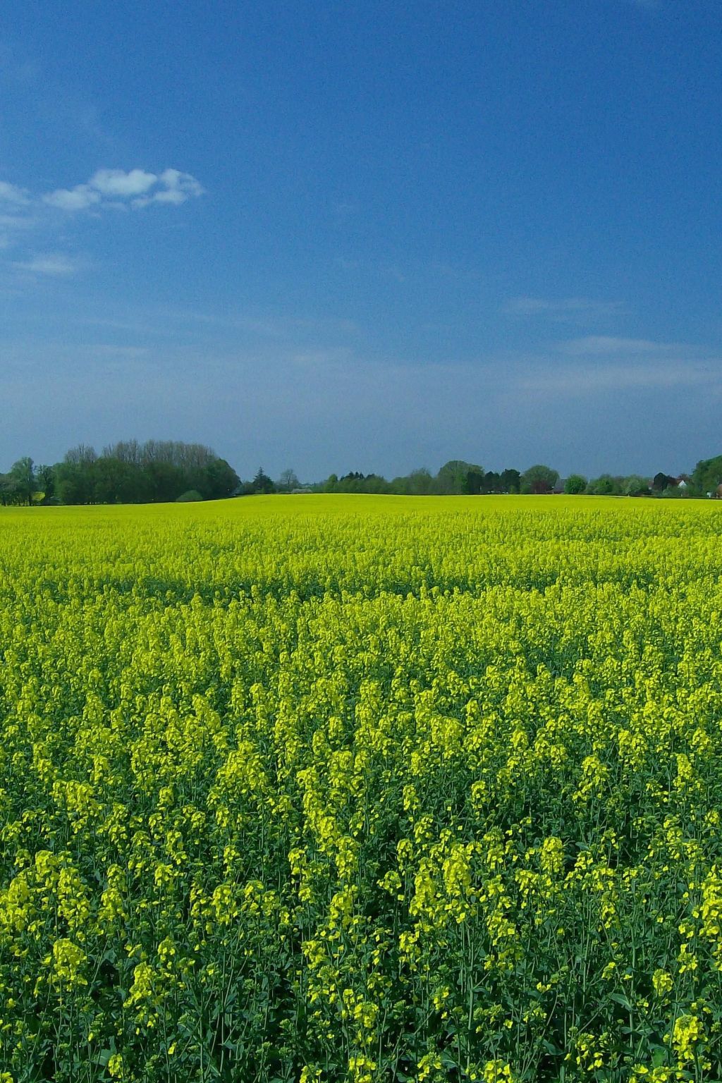 Wohnung in beliebtem Gästehaus mit Fahrradverleih
